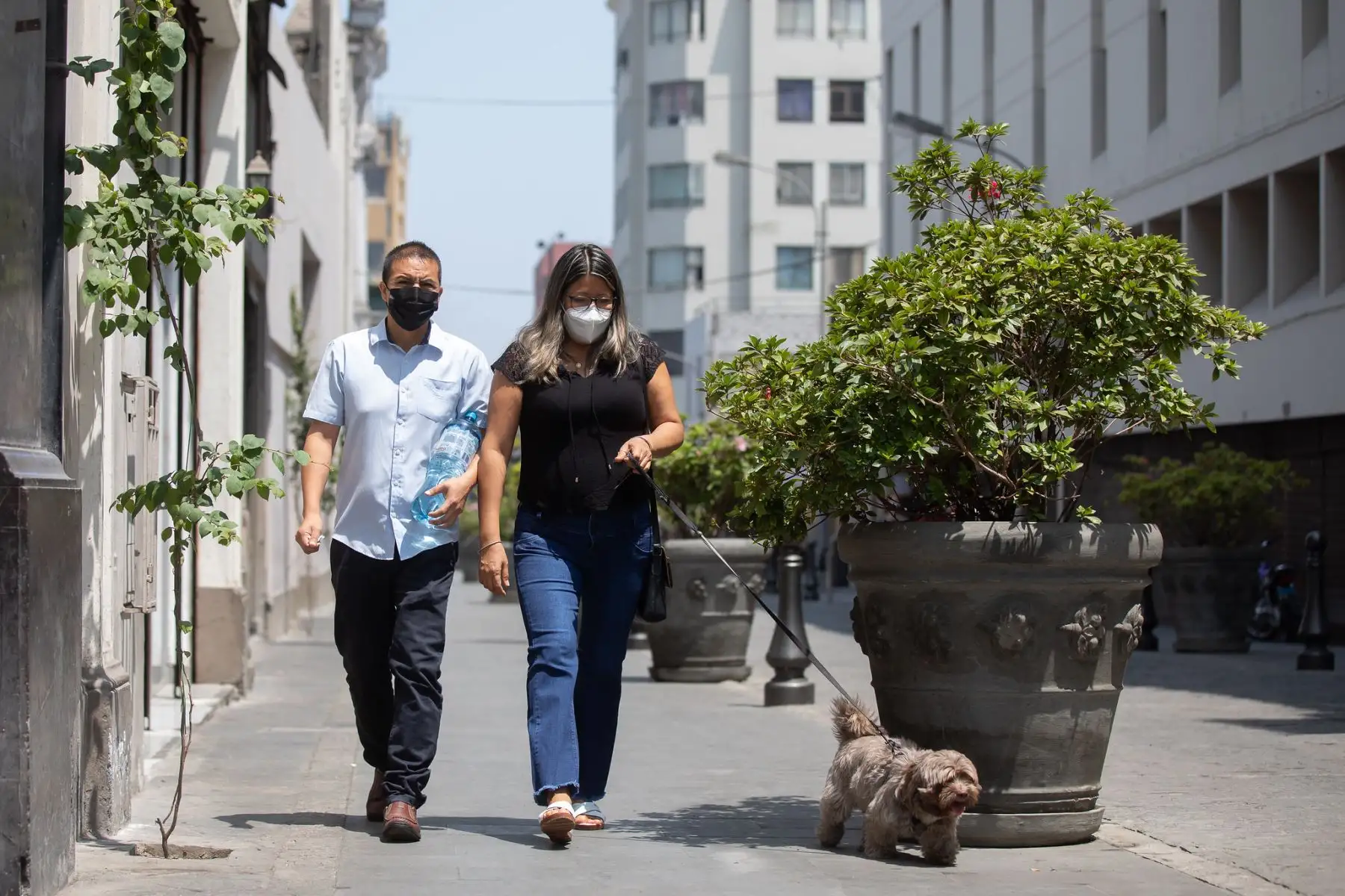 Municipalidad de Lima impulsa el programa  " Al Damero de Pizarro sin carro ", donde los vecinos podrán disfrutar de diversas actividades gratuitas y al aire libre.
Foto: Municipalidad de Lima