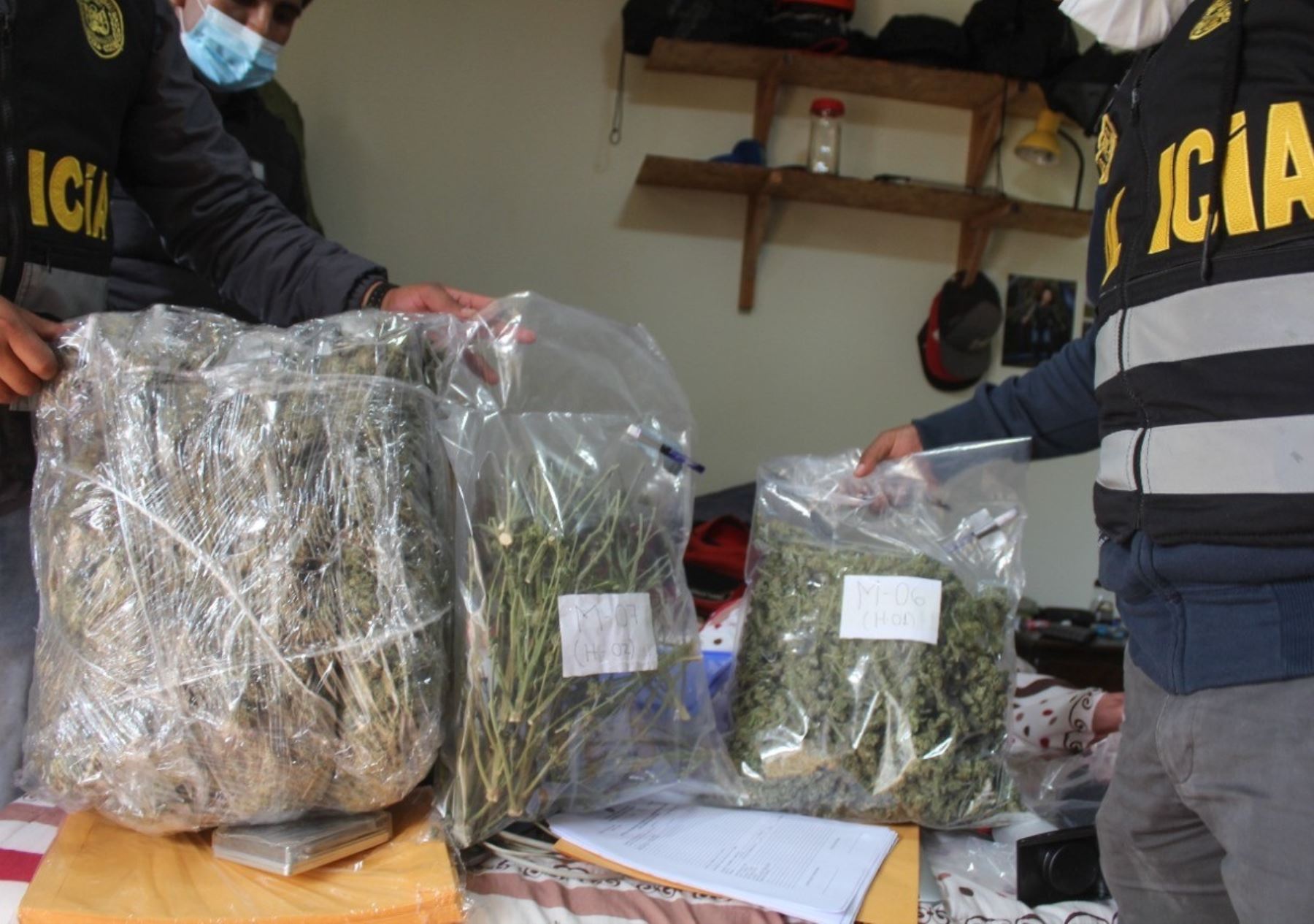 Agentes de la Policía Nacional de Cusco descubrieron un laboratorio de marihuana en el Valle Sagrado de los Incas, provincia cusqueña de Urubamba y detuvieron a un presunto narcotraficante. Foto: ANDINA/Difusión.