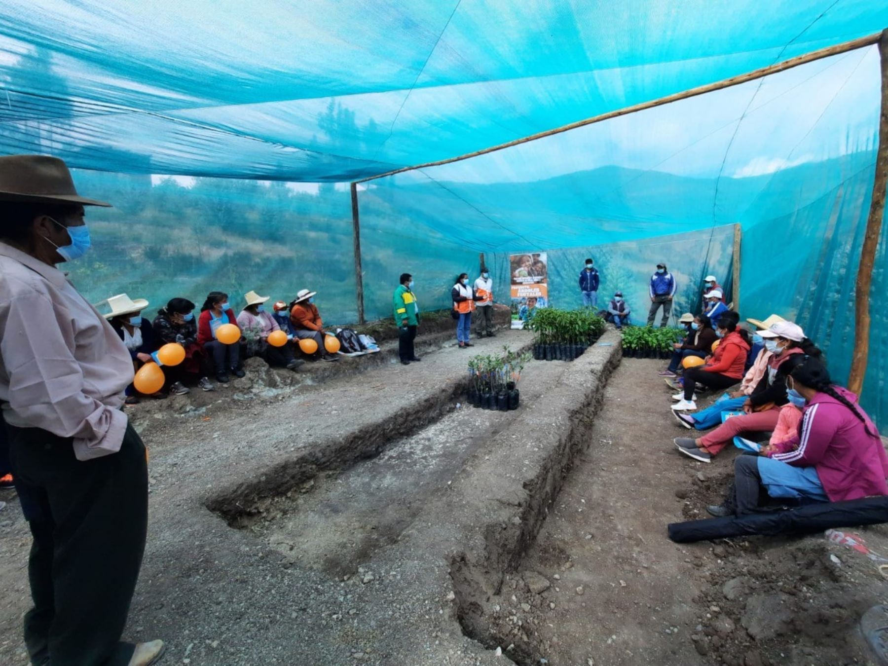 Un nuevo vivero fue construido en la provincia de Otuzco, en la sierra de La Libertad, para promover el cultivo de frutas como palta, granadilla y manzana, en esta zona. ANDINA/Difusión