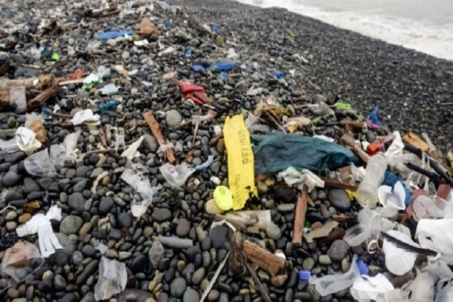 WWF destaca decisión unánime de la Asamblea de ONU Ambiente e invita a los gobiernos del mundo a aprovechar este poderoso impulso para eliminar la contaminación por plásticos.