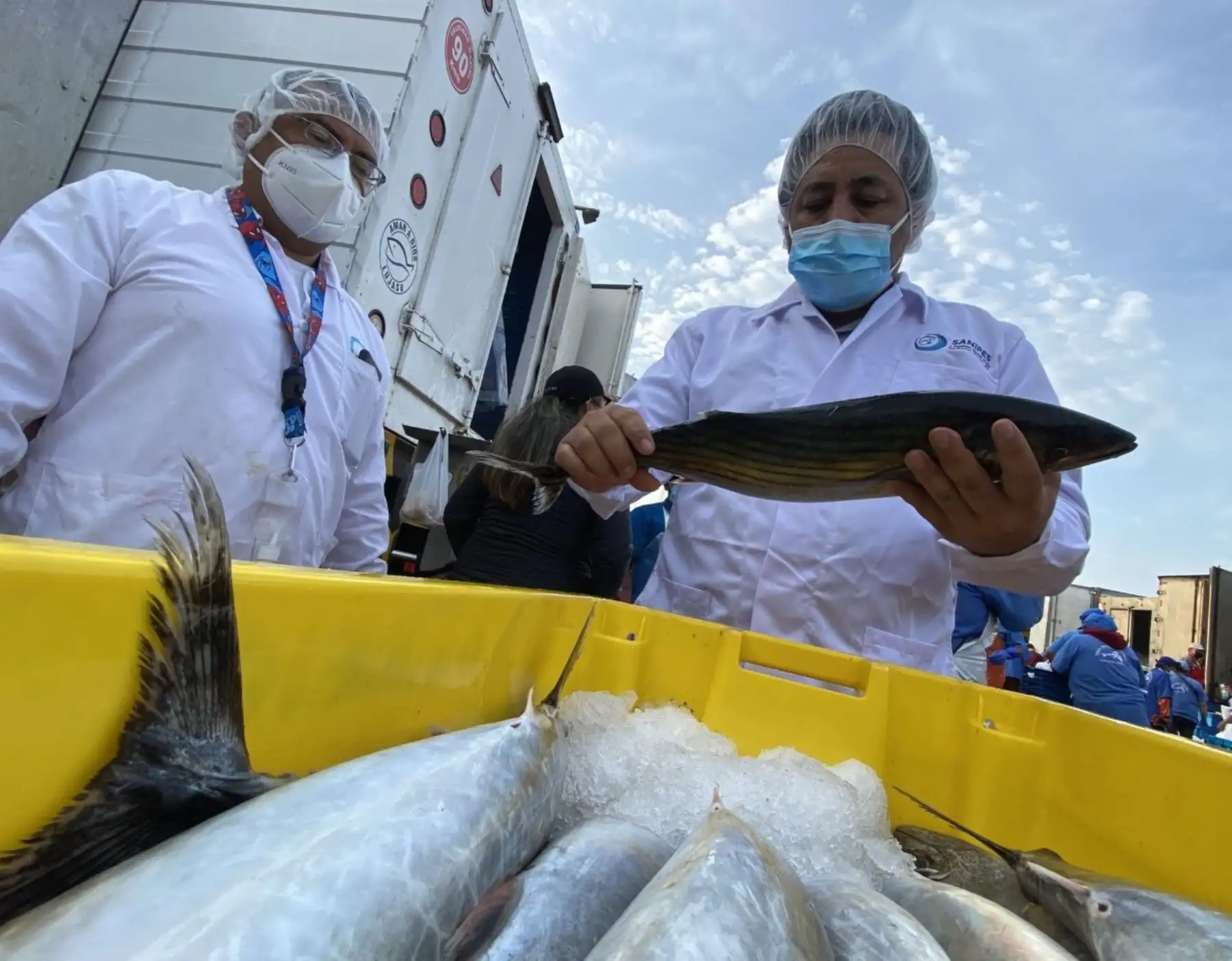 Expertos de la Unión Europea capacitaron a profesionales de Sanipes en el control de productos hidrobiológicos con fines de exportación ANDINA/Difusión