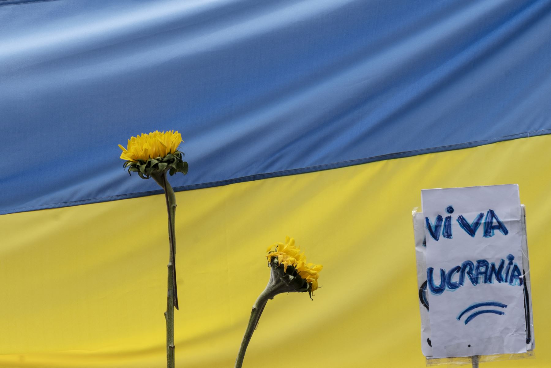 Frente a la gran cantidad de bajas civiles y áreas no militares dañadas por los bombardeos, Ucrania y Rusia han acordado un cese al fuego momentáneo. Foto: AFP.