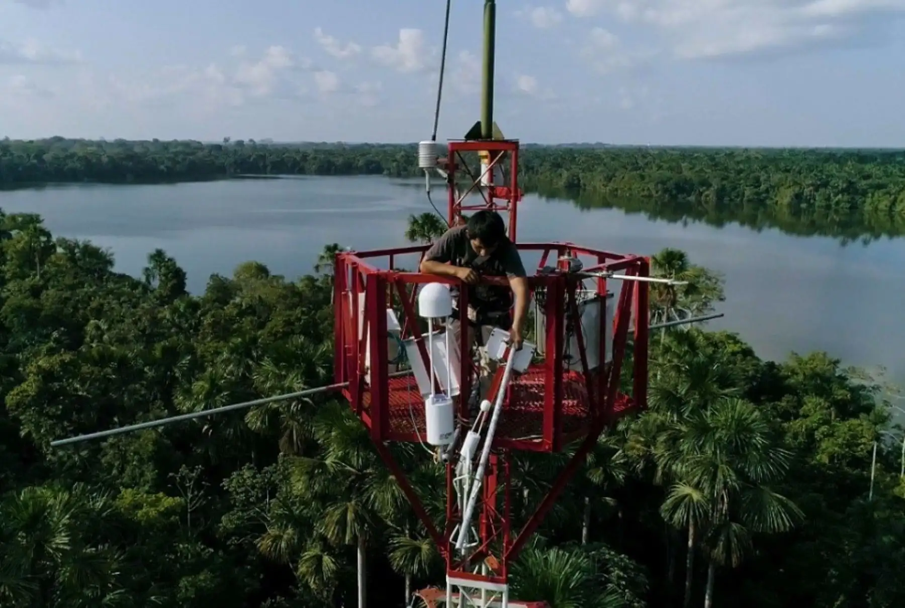 Científicos del Instituto de Investigaciones de la Amazonía Peruana (IIAP) desarrollan en Loreto un estudio que busca conocer el comportamiento de gases de efecto invernadero contaminantes, como el dióxido de carbono y el metano, en uno de los ecosistemas emblemáticos de la selva baja: el aguajal.