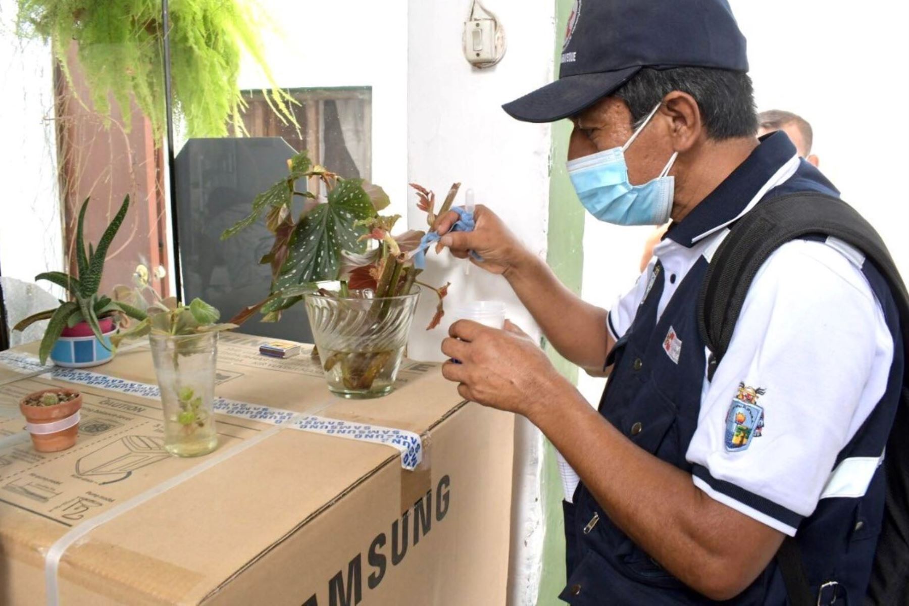 Personal de salud intensifica acciones de control del vector transmisor del dengue. Foto: ANDINA/Difusión