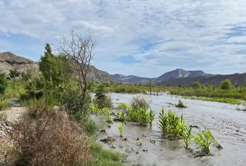 El río Santa, en la región Áncash, se desbordó e inundó cultivos en la localidad de Vinzos, distrito y provincia del Santa. El río incrementó su caudal por las constantes precipitaciones pluviales que se registraron en la zona sierra de la región, informó el Centro de Operaciones de Emergencia Regional.