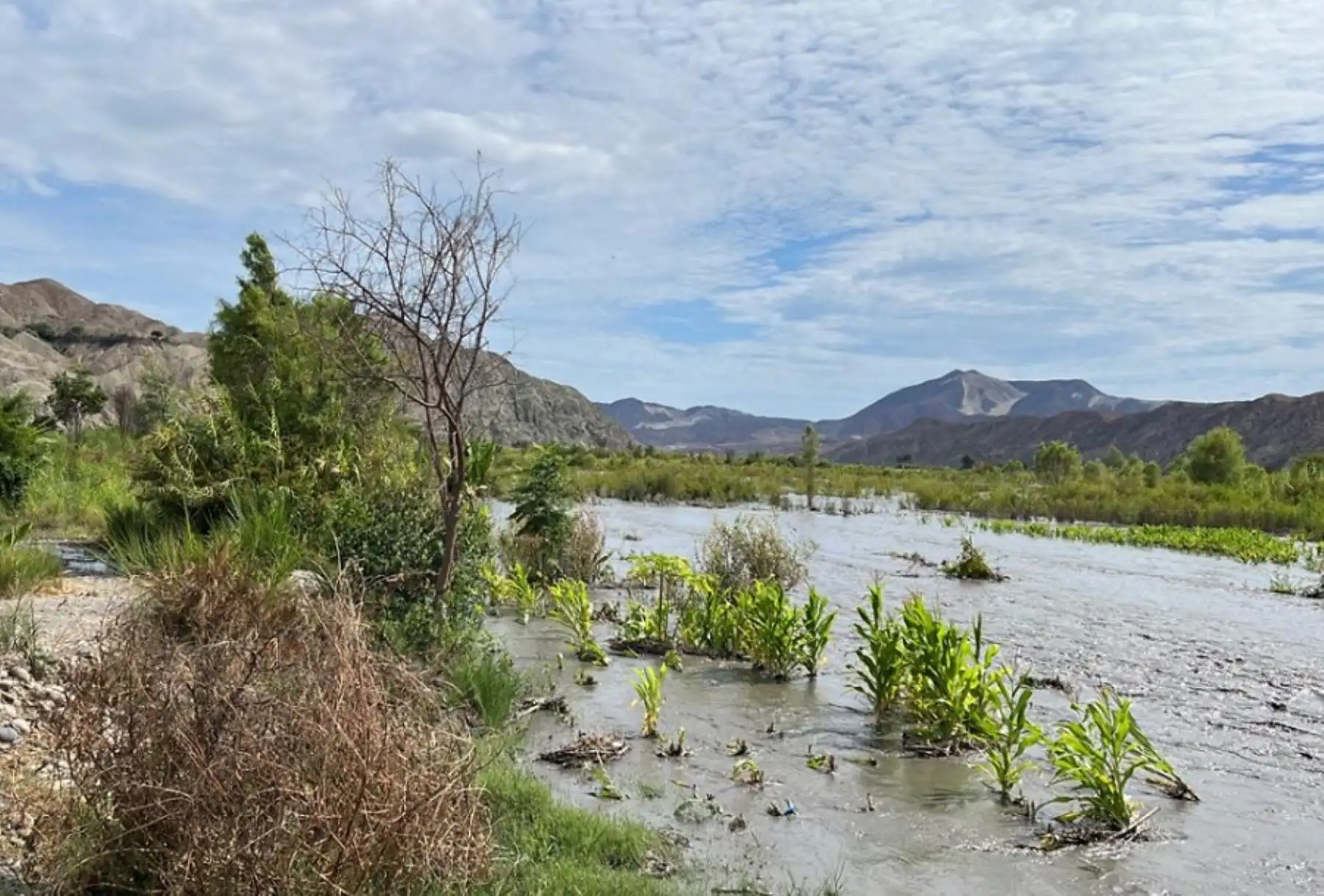 El río Santa, en la región Áncash, se desbordó e inundó cultivos en la localidad de Vinzos, distrito y provincia del Santa. El río incrementó su caudal por las constantes precipitaciones pluviales que se registraron en la zona sierra de la región, informó el Centro de Operaciones de Emergencia Regional.