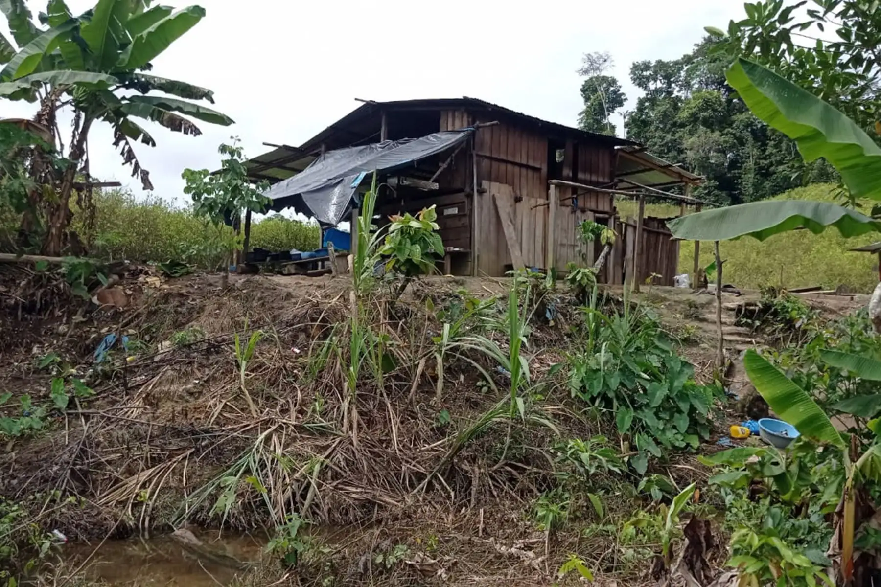 El ministro del Interior, Alfonso Chávarry Estrada, presentó hoy en la Comisaría Sectorial PNP Utcubamba, en Bagua Grande, los 203 kilos de alcaloide de cocaína hallados por la Policía Nacional durante un operativo contra el tráfico ilícito de drogas, ejecutado en el distrito de Santa María de Nieva, en la provincia de Condorcanqui, región Amazonas. Foto: Mininter
