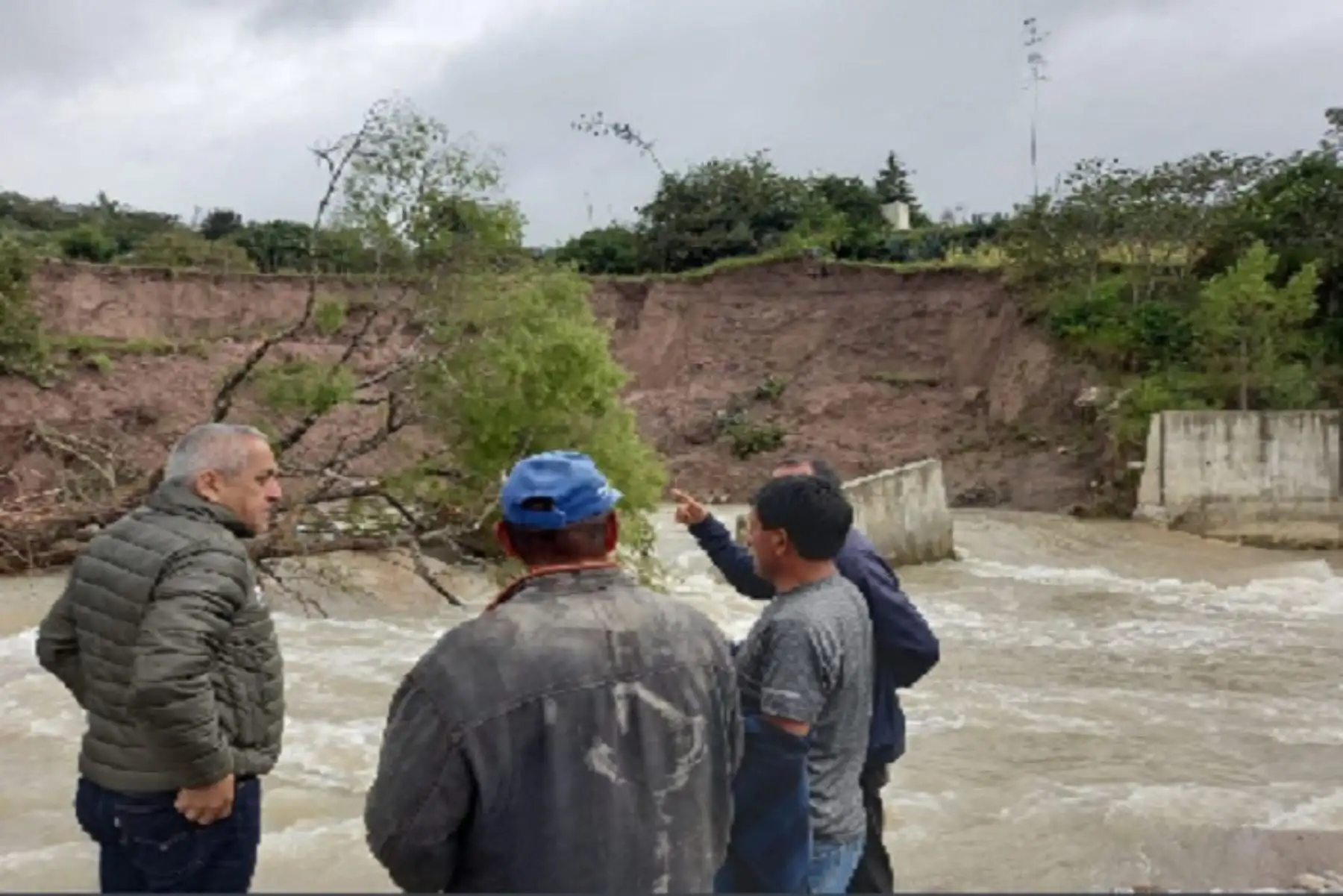 El Midagri intervendrá en Cajamarca, a través del PSI, con la identificación de los puntos críticos; la ANA elaborará las fichas técnicas; Agro Rural participará en el registro de cultivos afectados; Senasa en la identificación de plaga, y la DRA-Cajamarca evaluará la compensación a los agricultores afectados.