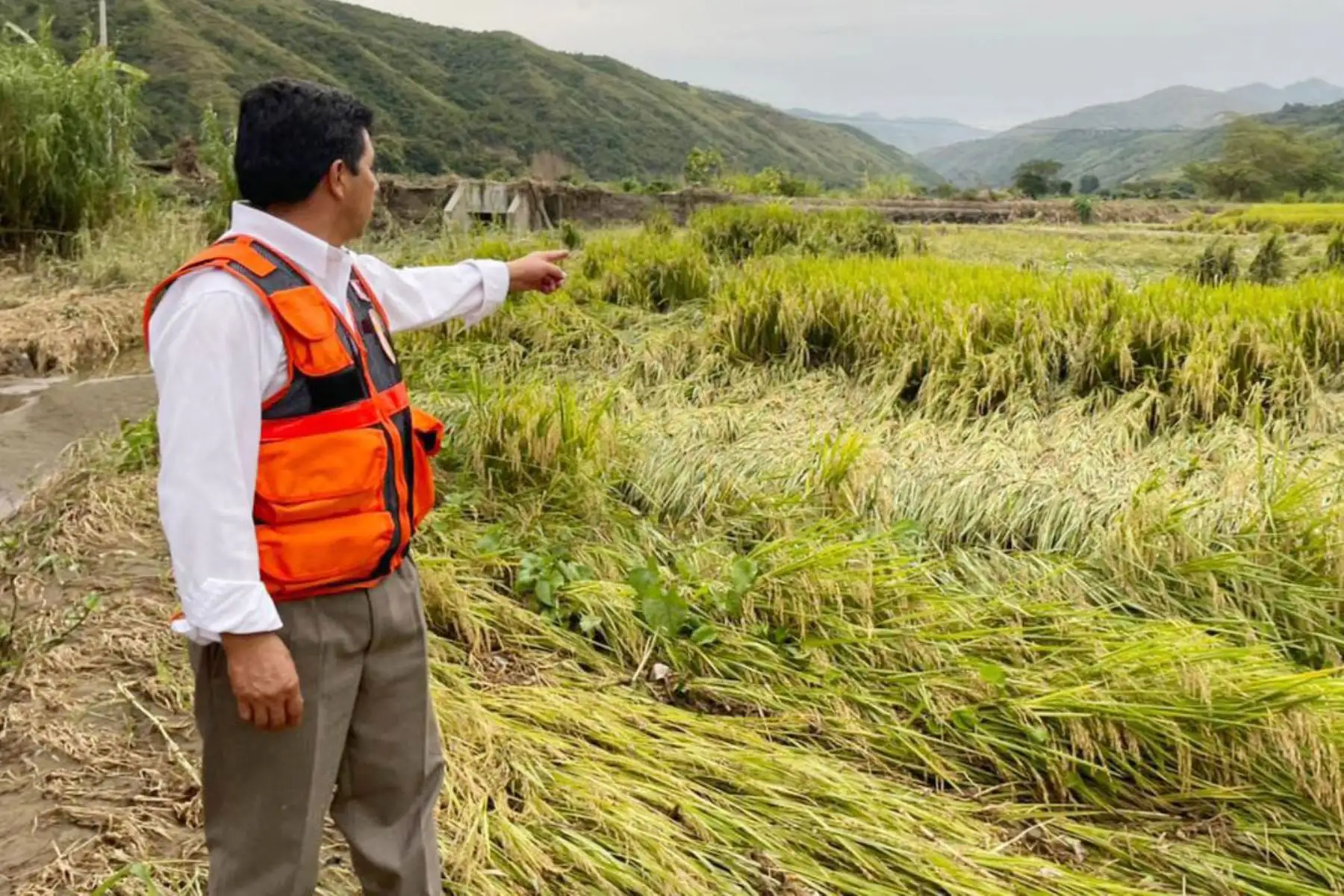 Presidente Pedro Castillo, supervisa las zonas afectadas por las intensas lluvias en el distrito de Chirinos, en la región Cajamarca.
Foto: ANDINA/ Prensa Presidencia