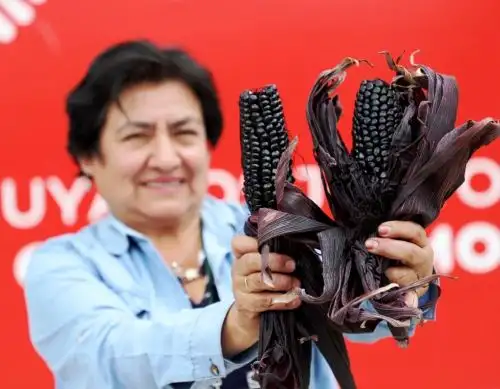 Conoce a Alicia Medina la investigadora orgullo de Cajamarca. Ella fue la investigadora que descubrió el supermaíz morado que destaca por sus propiedades que ayudan a prevenr el cáncer. Foto: ANDINA/Difusión.