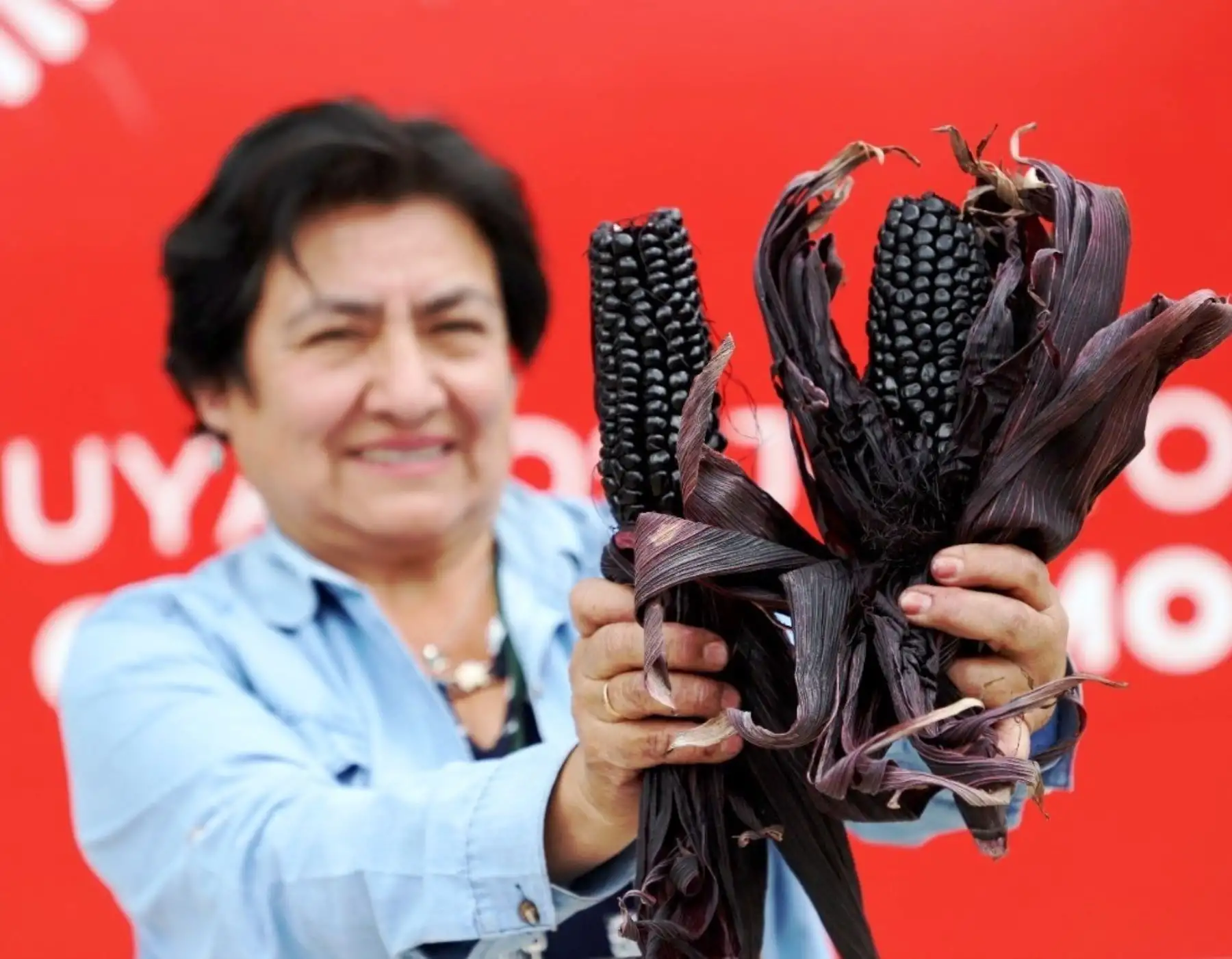 Conoce a Alicia Medina la investigadora orgullo de Cajamarca. Ella fue la investigadora que descubrió el supermaíz morado que destaca por sus propiedades que ayudan a prevenr el cáncer. Foto: ANDINA/Difusión.