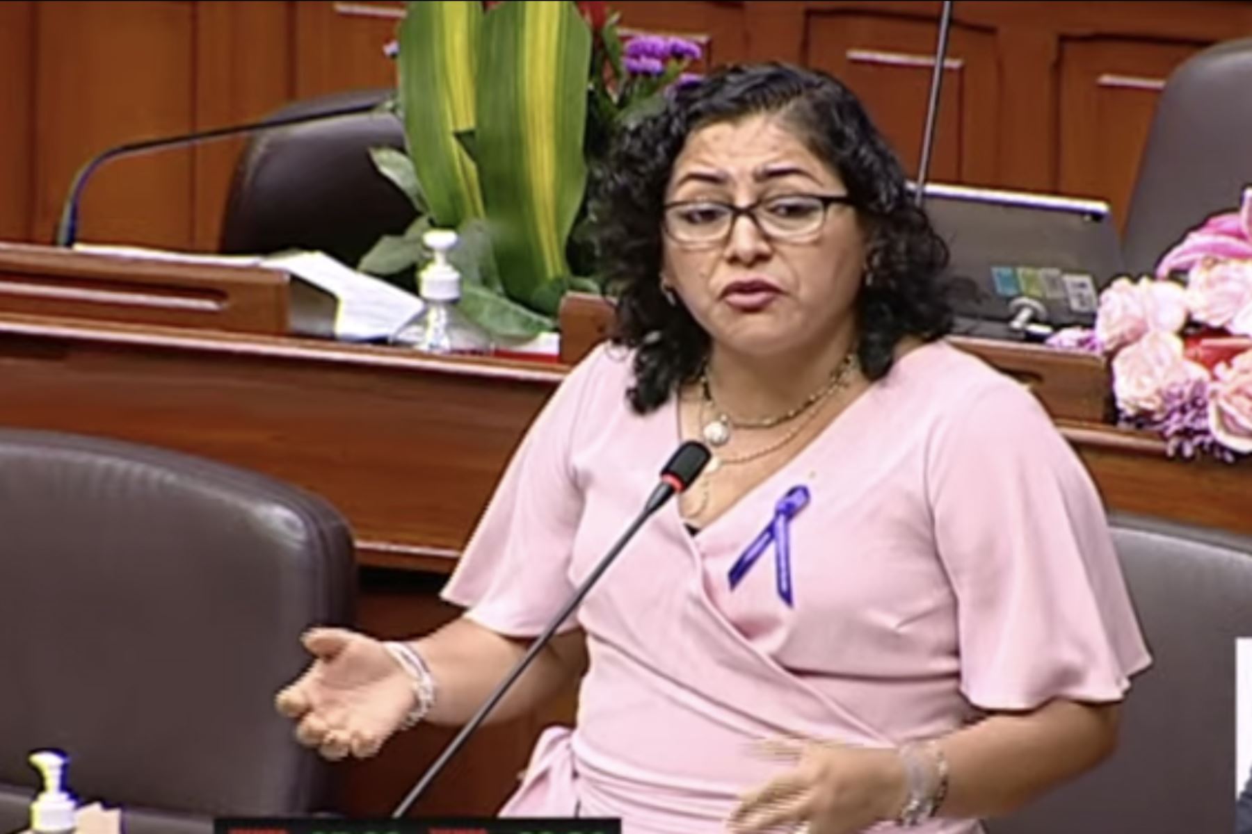 Ética pide a congresista Díaz nombres de parlamentarios que habría bebido en Parlamento