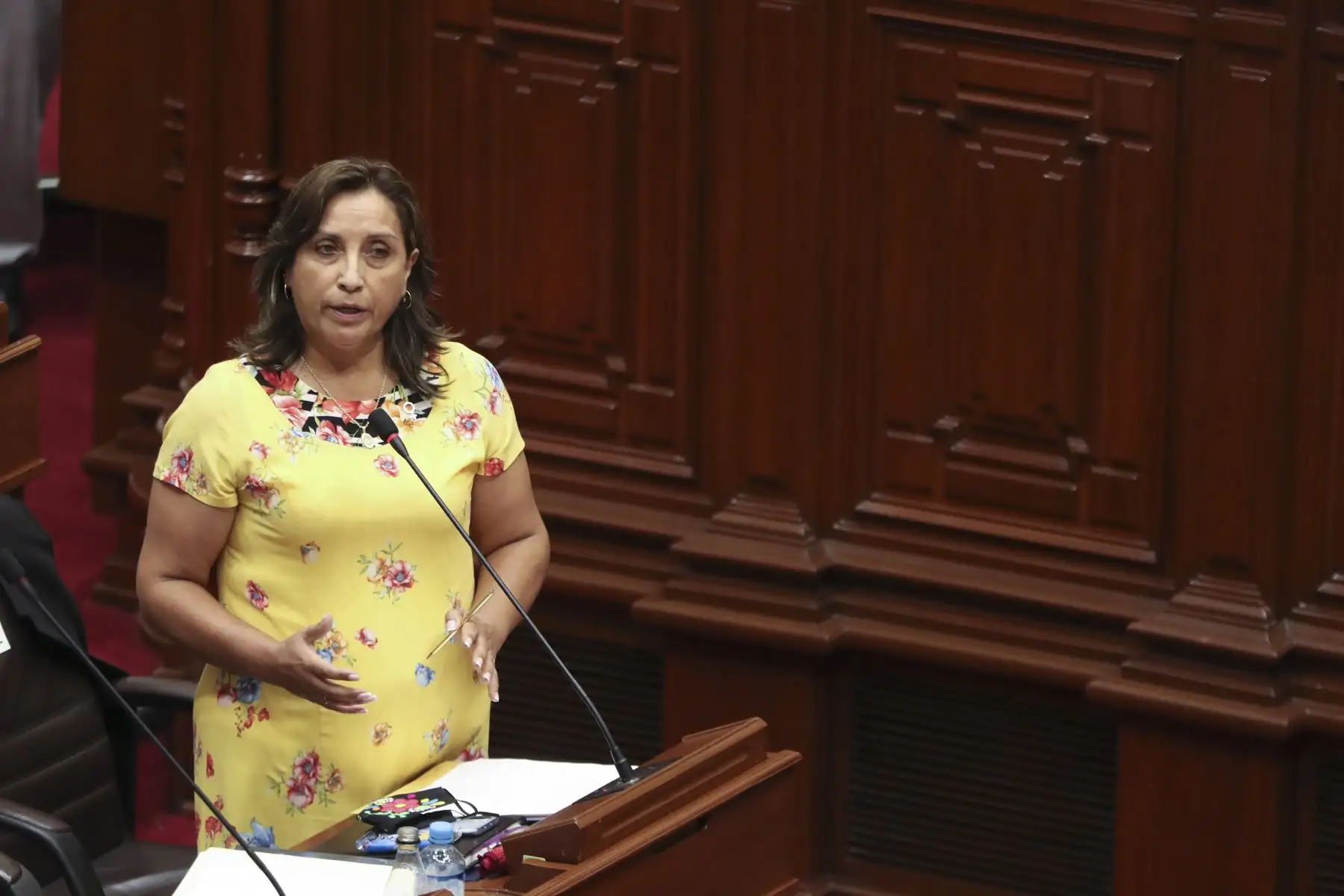 Foto: ANDINA/difusión.