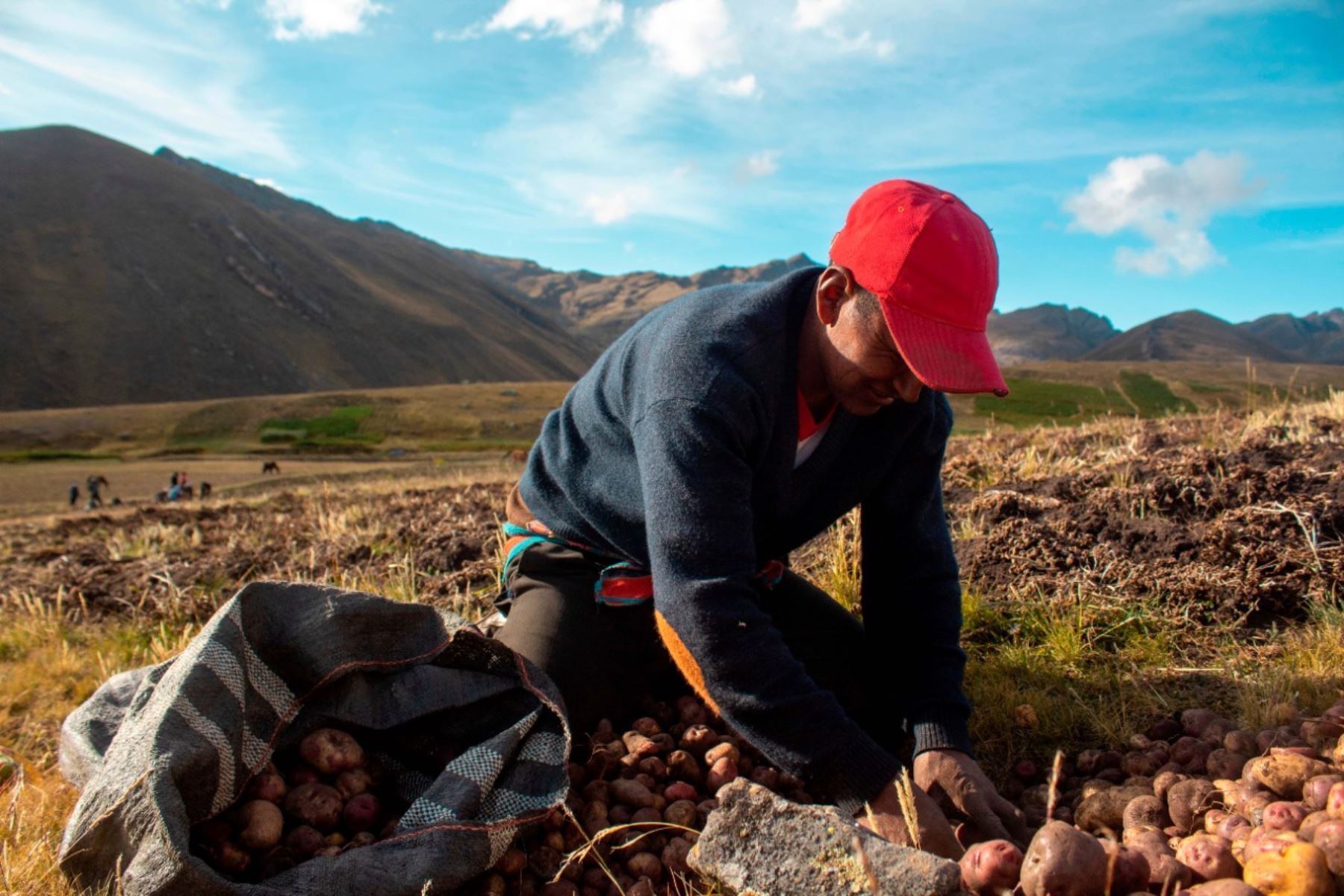 Pequeño agricultor en la zona andina. ANDINA/Difusión