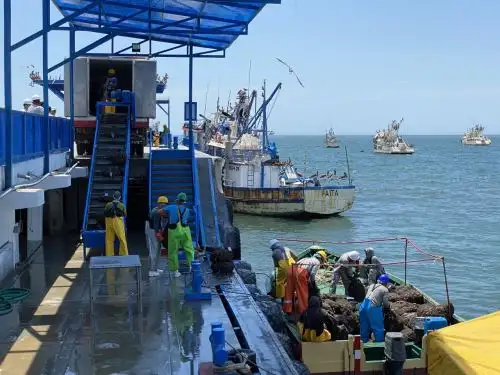 La maricultura es una de las principales actividades  económicas de la Bahía de Sechura, en Piura, y genera miles de puestos de trabajo, destaca Sanipes. ANDINA/Difusión