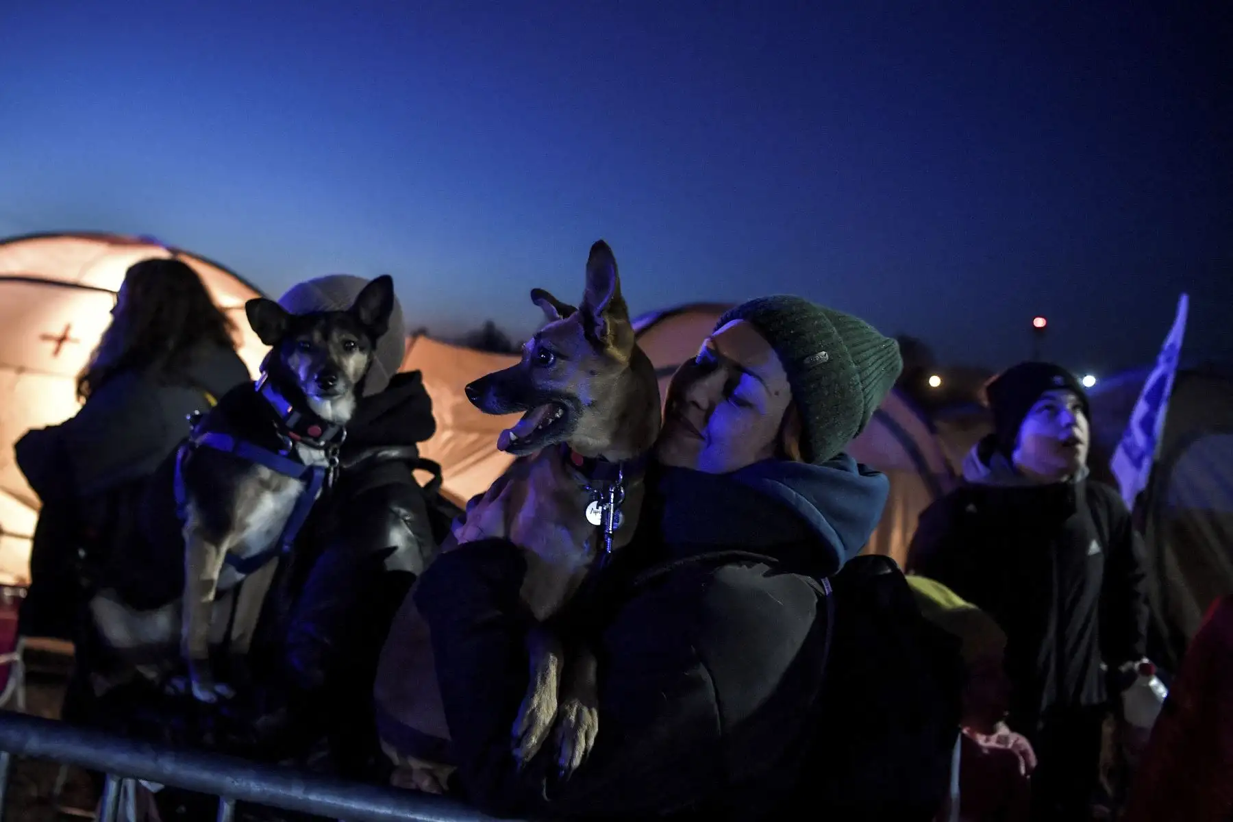 Refugiados de Ucrania esperan con sus mascotas para su posterior transporte después de cruzar la frontera de Ucrania con Polonia. Foto: AFP