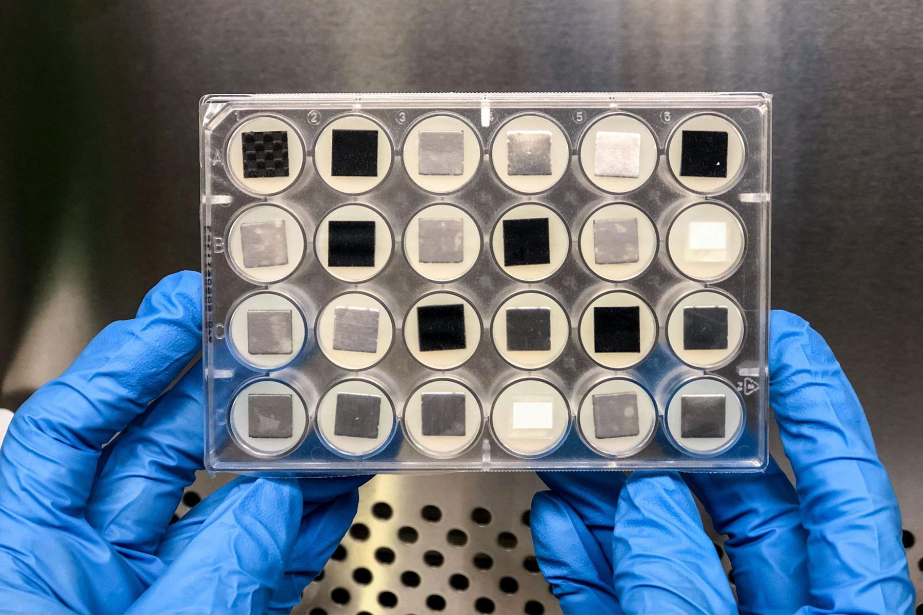 En esta fotografía se puede observar, antes del vuelo, la placa de 24 pocillos que contiene siete materiales diferentes para pruebas como parte de Space Biofilms. Foto: NASA.