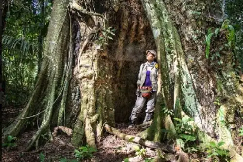 Parte de la labor de Arbio Perú  también es evitar el ingreso de amenazas hacia la zona de los PIACI. Foto: Arbio Perú.r
