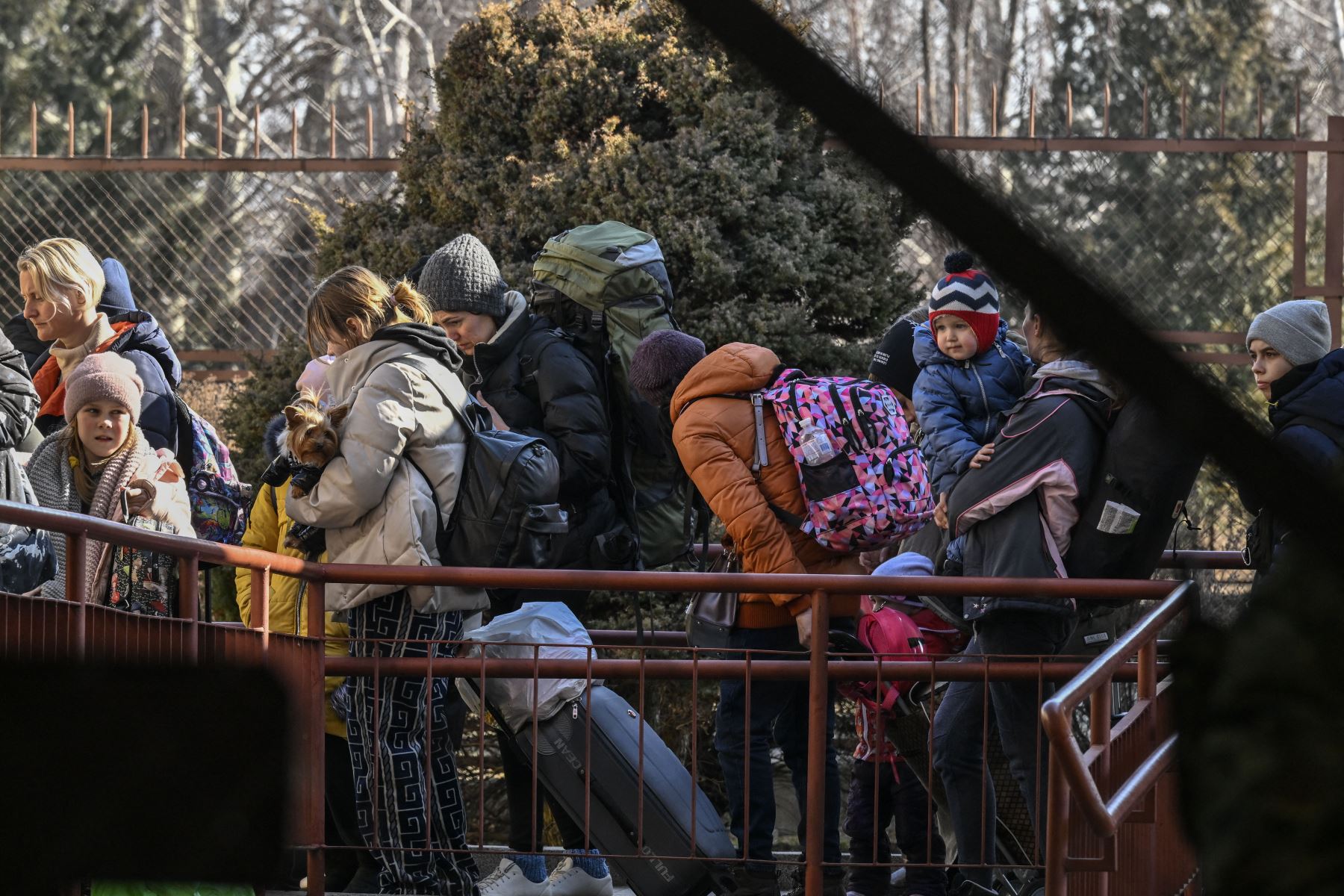 La gente hace cola después de llegar desde Ucrania a la estación de tren de Przemysl, cerca de la frontera entre Ucrania y Polonia.
Foto: AFP