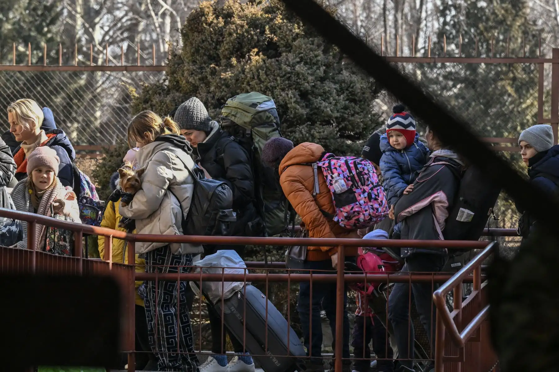 La gente hace cola después de llegar desde Ucrania a la estación de tren de Przemysl, cerca de la frontera entre Ucrania y Polonia.
Foto: AFP