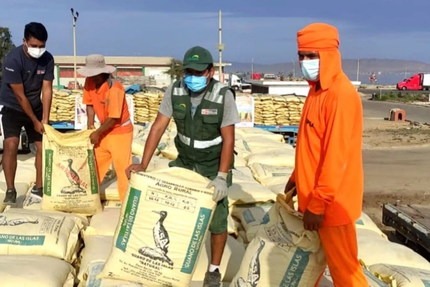 Guano de isla extraído y distribuido por Agro Rural. Foto: Cortesía.