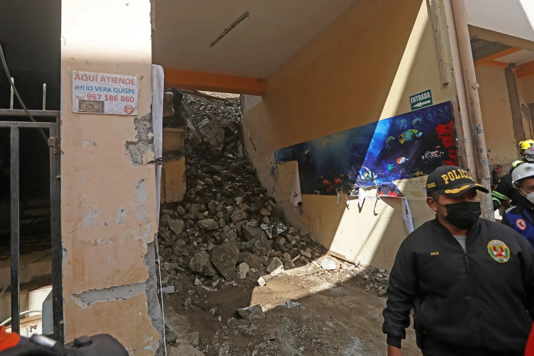Foto: ANDINA/Prensa Presidencia.