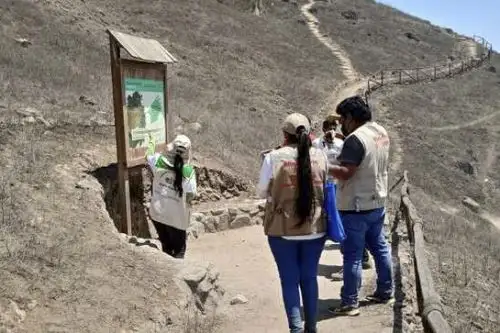 El Ministerio de Culturadio dio inicio a la aplicación del proyecto denominado, Difusión patrimonial en las Lomas El Paraíso, elaborado por la organización cultural Comando Ecológico. ANDINA/ Cultura