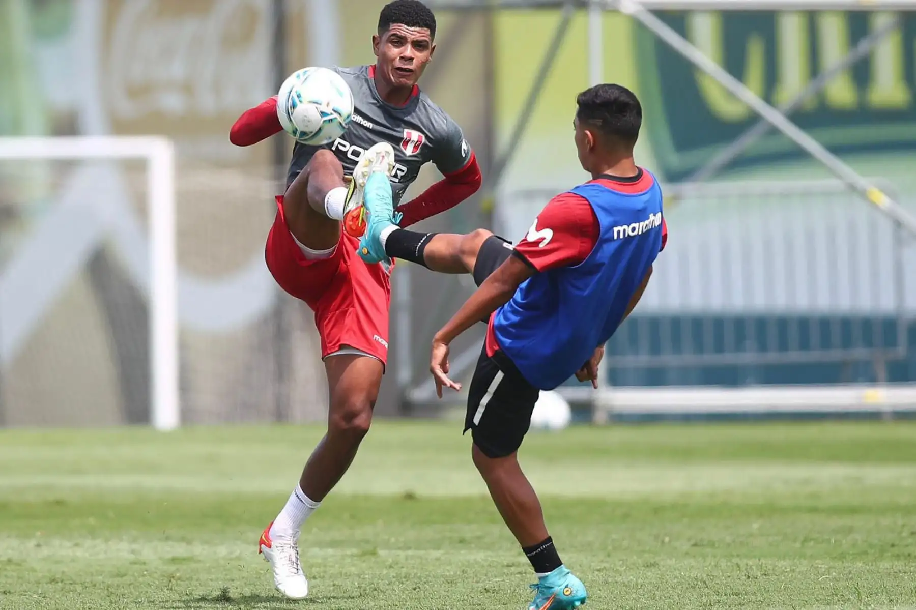 La Selección Peruana continúa preparándose para el duelo ante Uruguay. Esta vez, el combinado nacional dirigido por Ricardo Gareca trabajó con 14 futbolistas. .
Foto: Selección Peruana