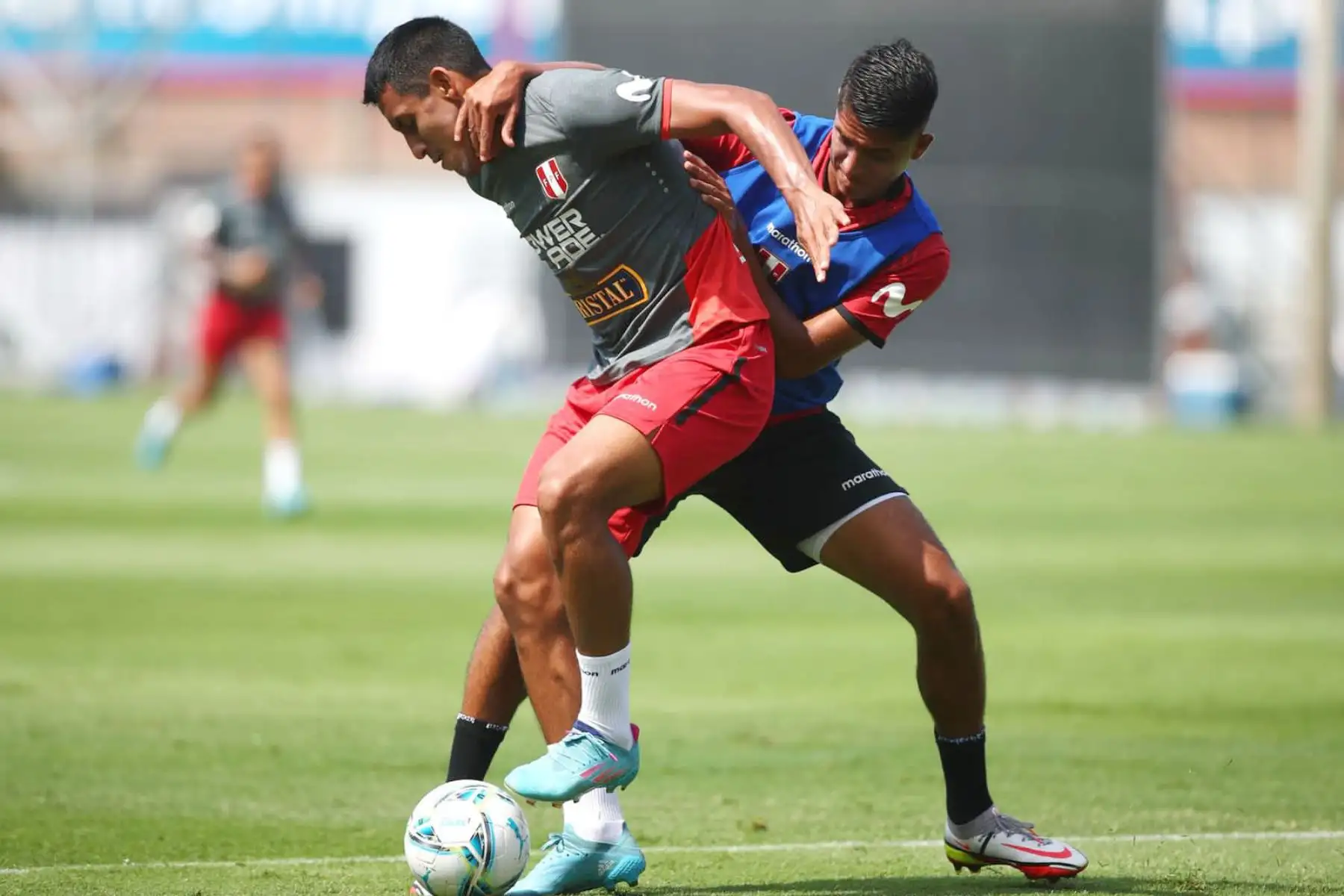 La Selección Peruana continúa preparándose para el duelo ante Uruguay. Esta vez, el combinado nacional dirigido por Ricardo Gareca trabajó con 14 futbolistas. .
Foto: Selección Peruana