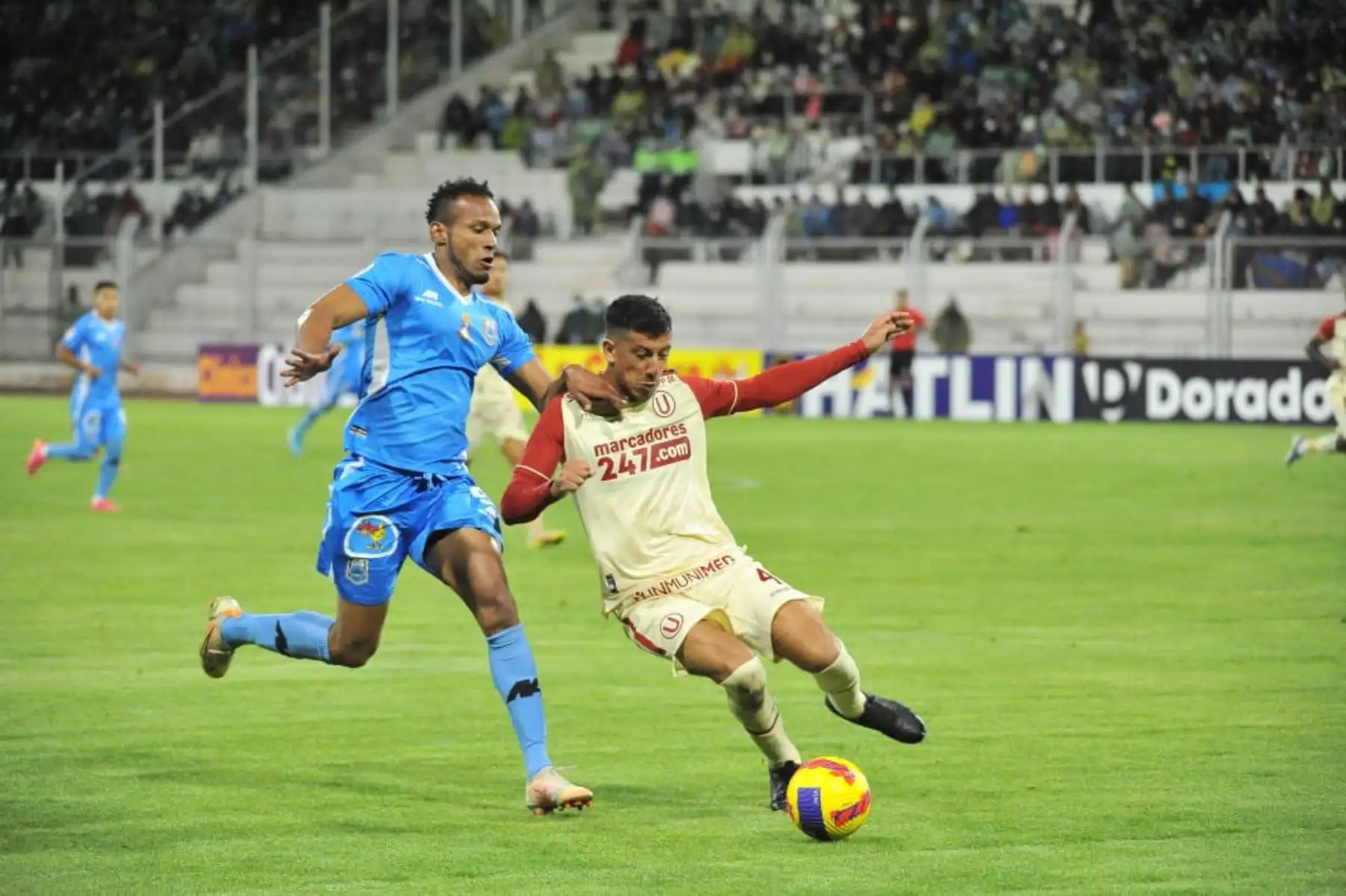 Universitario de Deportes perdió 1-0 ante Binacional en Juliaca por la fecha 7 de la Liga 1. Nelinho Quina hizo un autogol en el primer tiempo. Foto: FPF