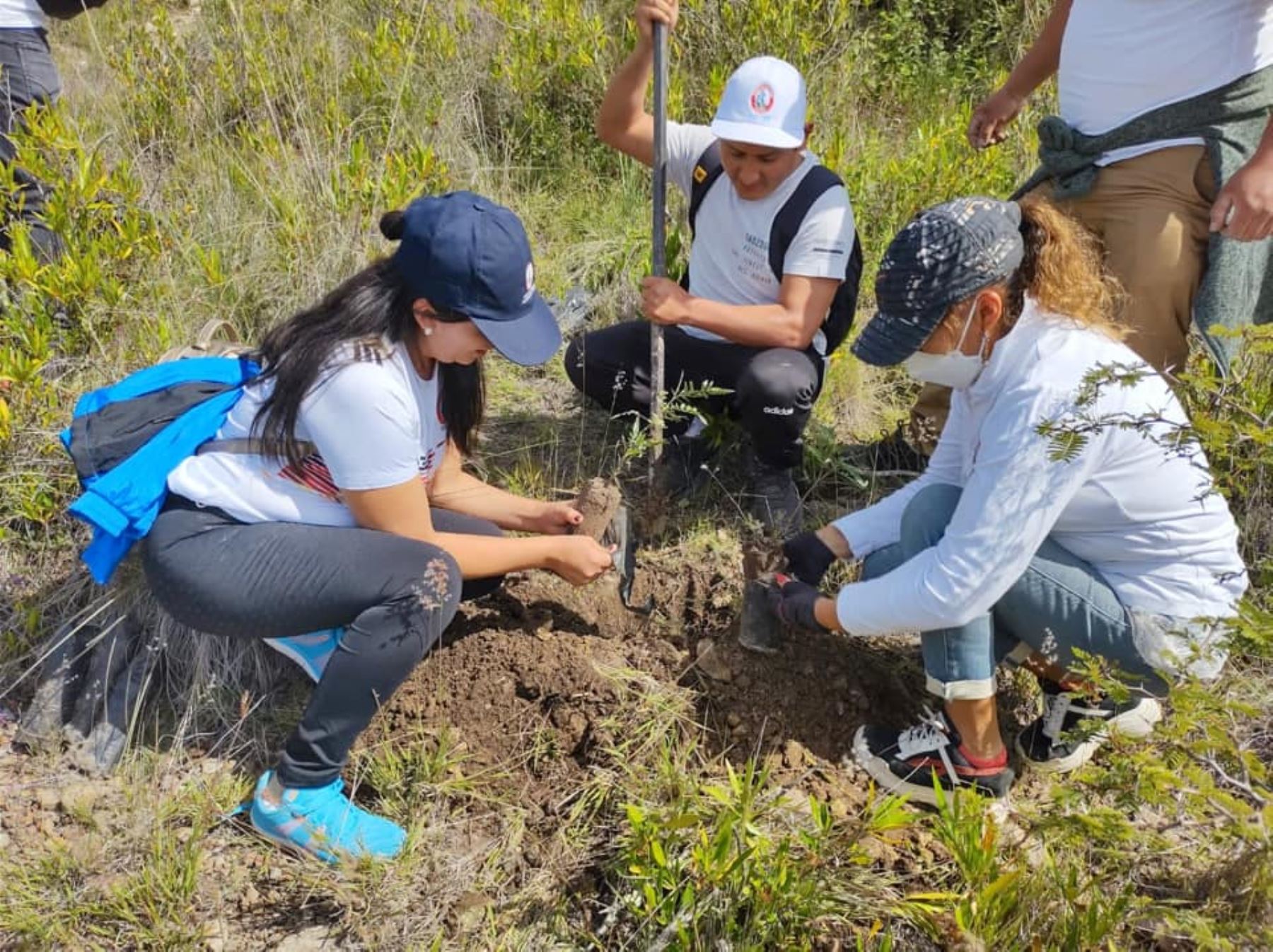 Con jornada de reforestación el Gobierno Regional de Ayacucho busca poner en valor la histórica cueva de Pikimachay. ANDINA/Difusión