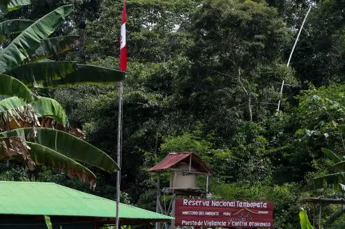 Área natural de Tambopata (imagen referencial). Foto: ANDINA/difusión.