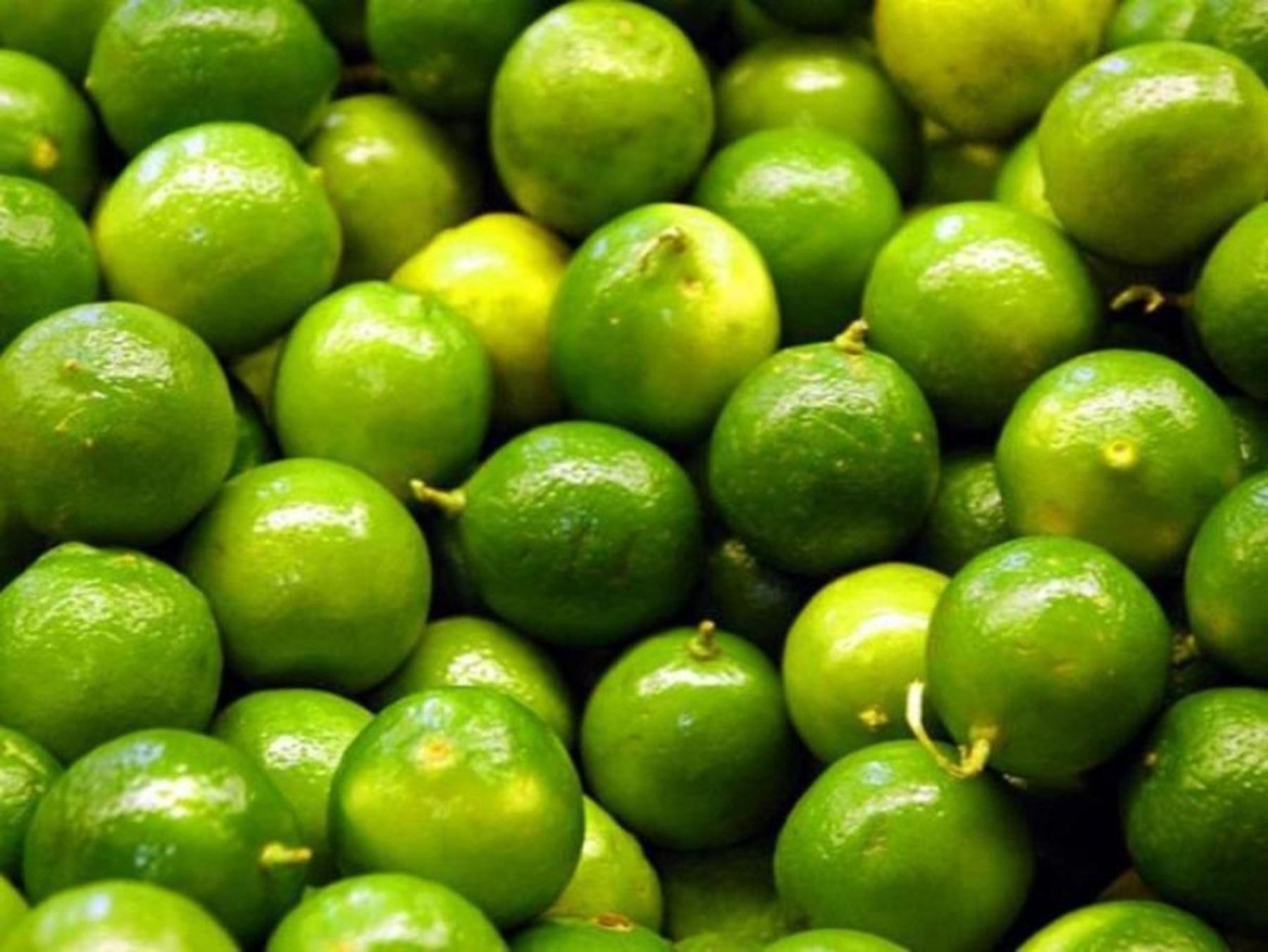 Limón, ingrediente esencial para el ceviche y el pisco sour. ANDINA/Difusión
