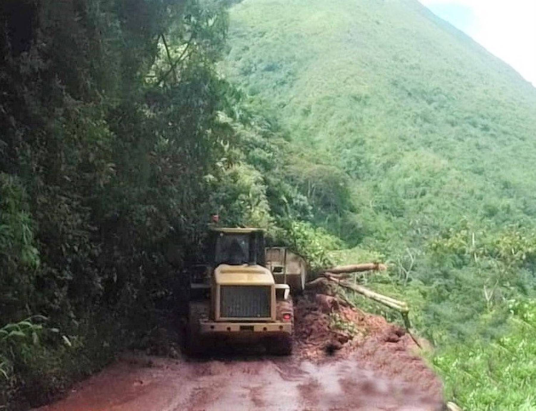 Con ayuda de maquinaria pesada limpian un derrumbe que afectó el tránsito en la carretera Oxapampa-Pozuzo, región Pasco.
