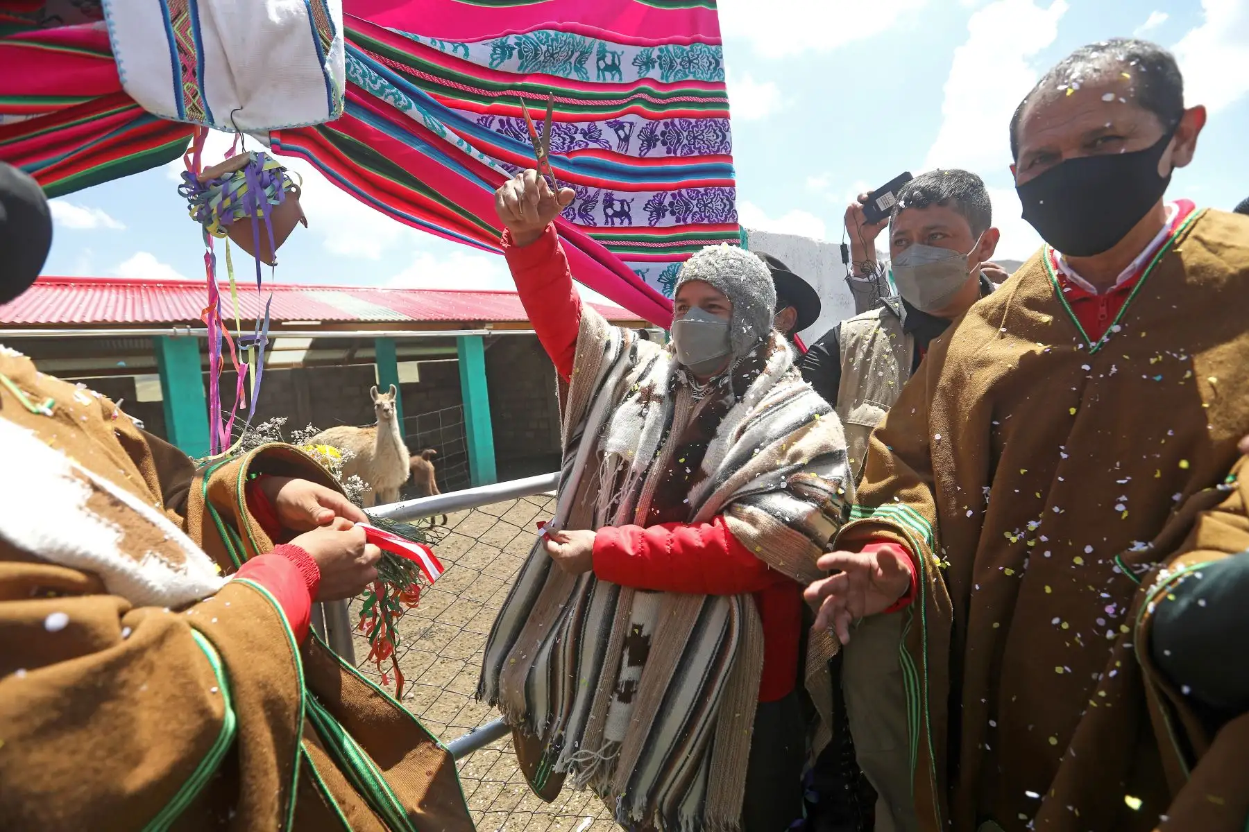 Mandatario Pedro Castillo participa en la entrega de 45 cobertizos para ganado en el distrito de Pichacani, provincia de Puno. Foto: ANDINA/Prensa Presidencia