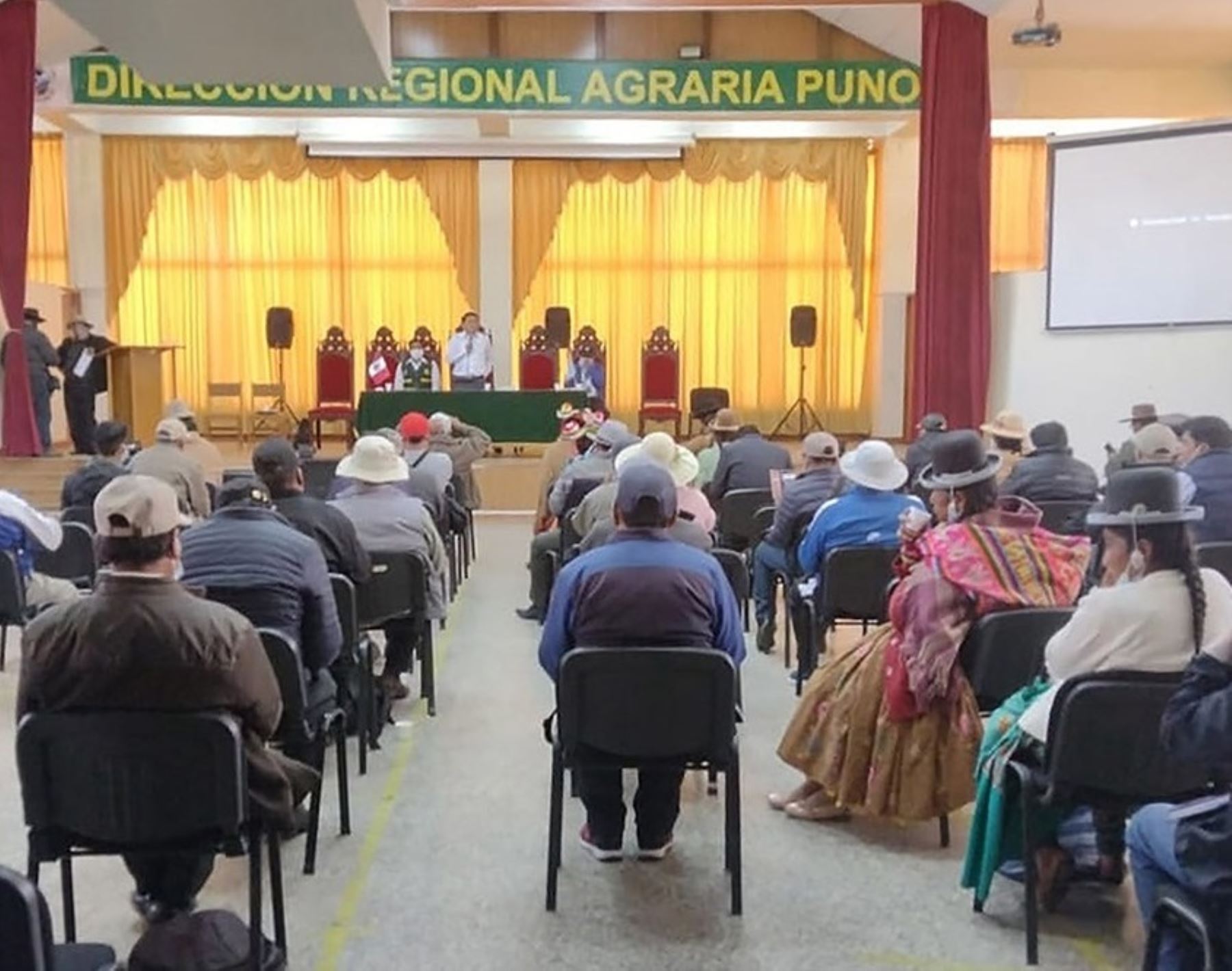 Un totl de 8,709 pequeños productores agropecuarios de Puno recibieron más de S/ 111 millones en créditos de parte de Agrobanco entre enero de 2021 y febrero de este año. Foto:  ANDINA/Difusión