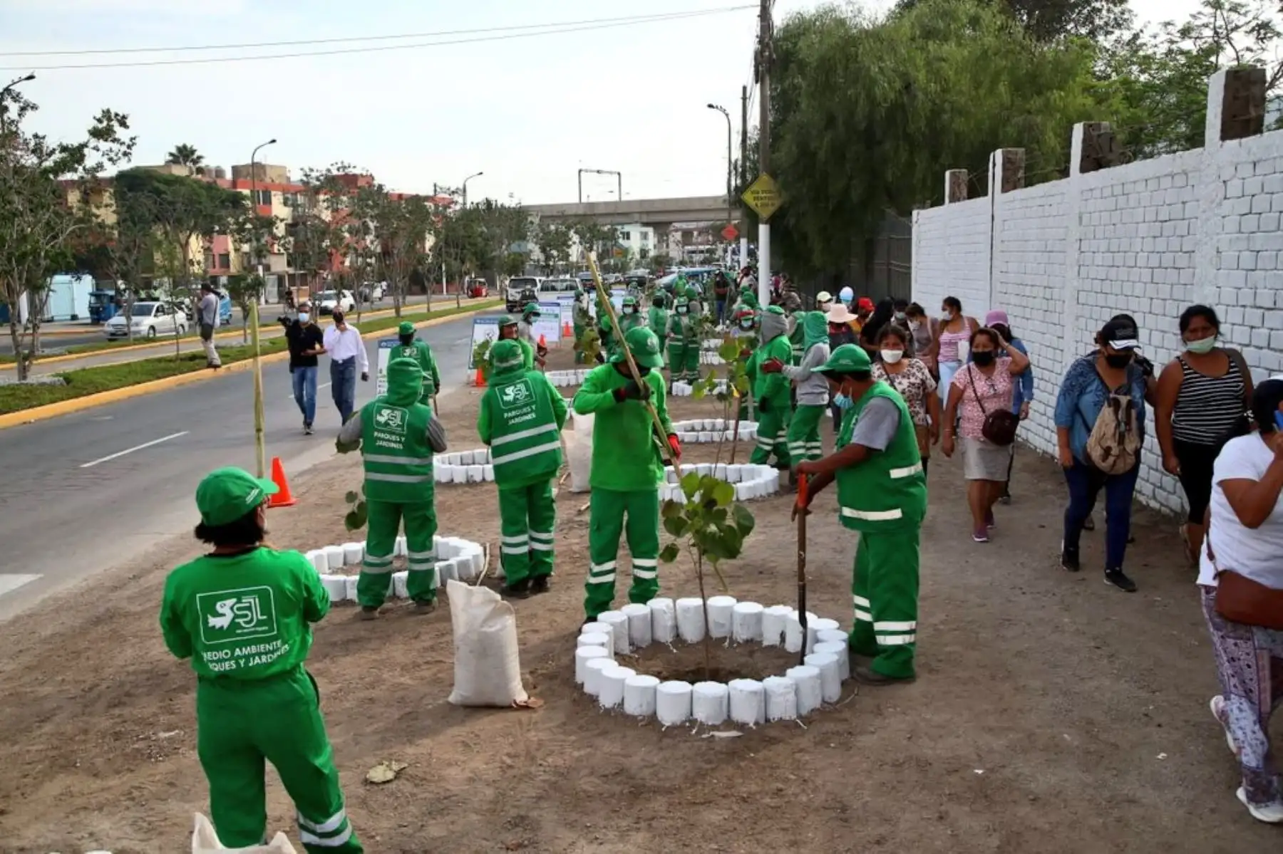 En San Juan de Lurigancho, la viceministra Yamina Silva participa en el sembrado de 150 plantones de árboles de la especie meijo. "Iniciativas como esta nos enseñan la importancia de la reforestación y de lo que podemos contribuir desde nuestros hogares a mitigar el cambio climático", mencionó Yamina Silva. Foto: Minam