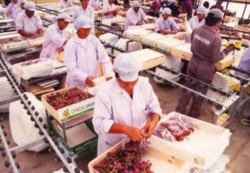 Empleos en exportaciones
