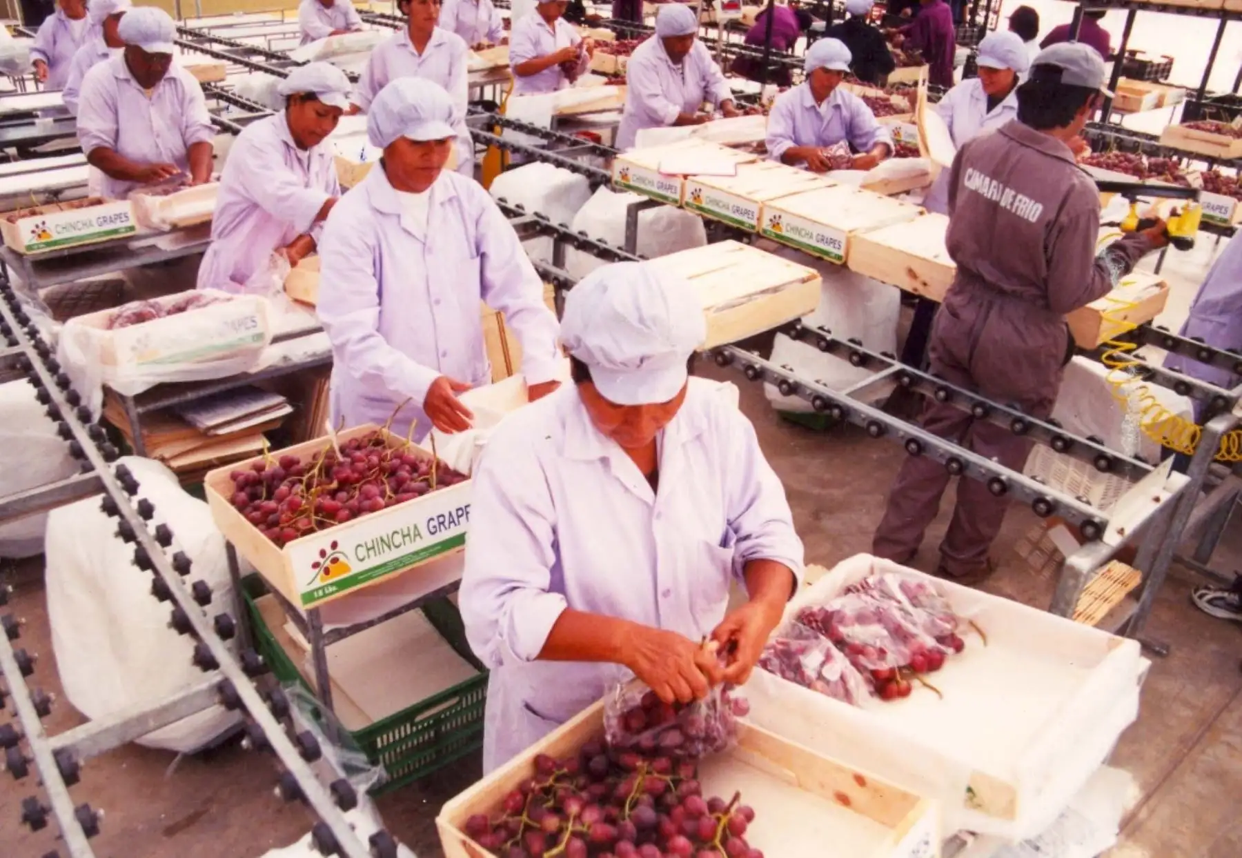 Empleos en exportaciones