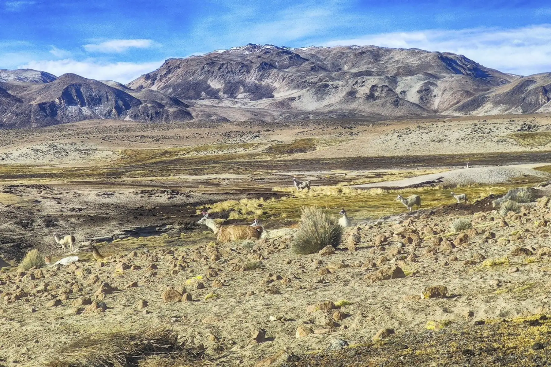 El Casiri, uno de los diez volcanes activos del Perú, se encuentra localizado entre los 4,500 a 5,400 metros sobre el nivel del mar. Foto: ANDINA/Ingemmet