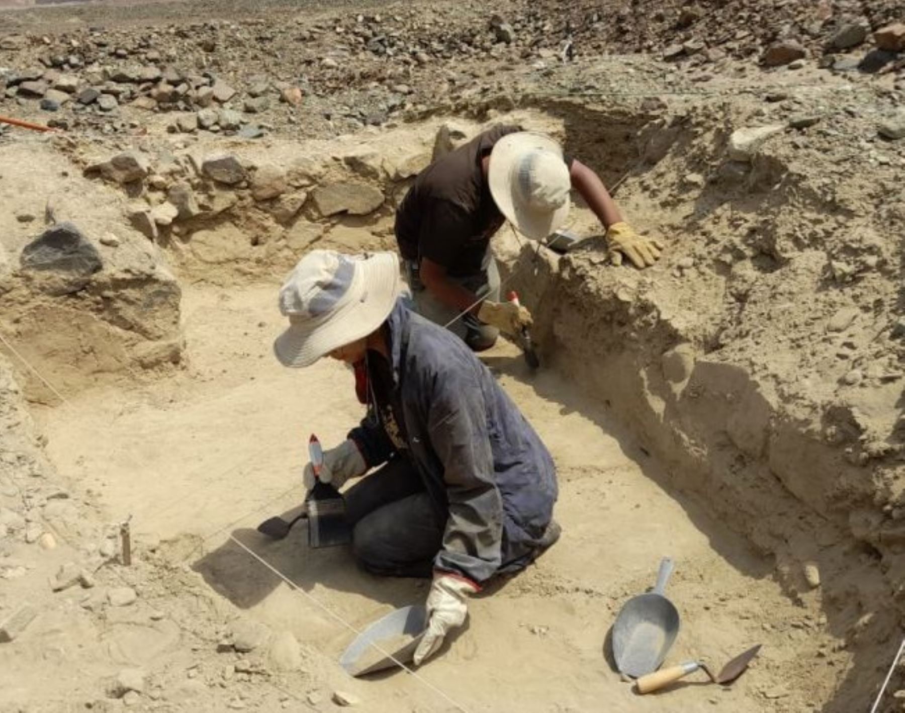 Arqueólogos de la Universidad Nacional Mayor de San Marcos investigan las tecnologías agrícolas usadas por antiguos pobladores del valle de Chicama, en La Libertad.