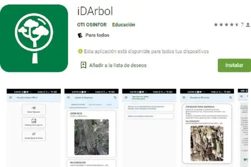La cadena productiva y los planes de manejo forestal en nuestro país se optimizarán gracias al aplicativo de consulta gratuito “iD Arbol”, herramienta tecnológica creada y administrada por el Organismo de Supervisión de los Recursos Forestales y de Fauna Silvestre y que cuenta inicialmente con información sobre 124 especies maderables de la Amazonía peruana.