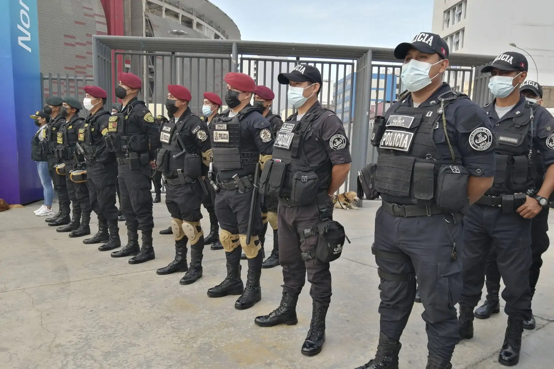 Foto: ANDINA/difusión.