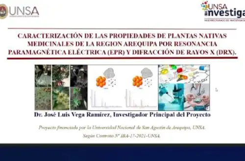 Investigadores de la Universidad Nacional de San Agustín de Arequipa (UNSA) estudian las propiedades medicinales de diversas plantas oriundas de dicha región, utilizando una metodología innovadora basada en modernos equipos de resonancia magnética y de rayos X, para identificar sus principios activos que permitan prevenir y tratar con éxito enfermedades como el cáncer.