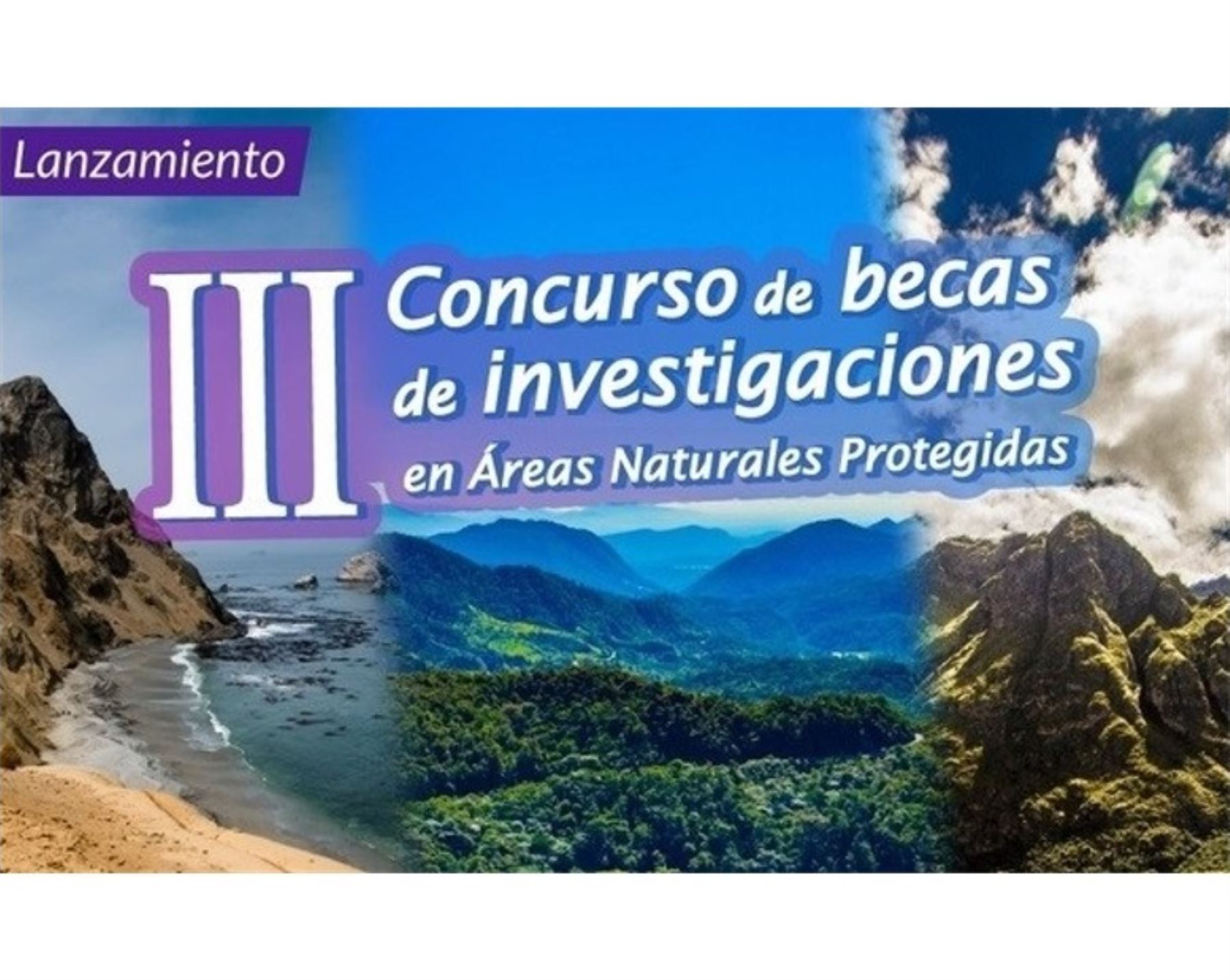 Sernanp lanzó concurso para otorgar becas y financiar investigaciones prioritarias en áreas naturales protegidas. Foto: ANDINA/difusión.