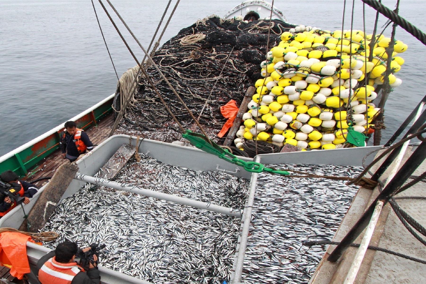 Solo pueden realizar faenas de pesca las embarcaciones pesqueras con permiso de pesca para el recurso anchoveta con destino al consumo humano indirecto. ANDINA/Difusión