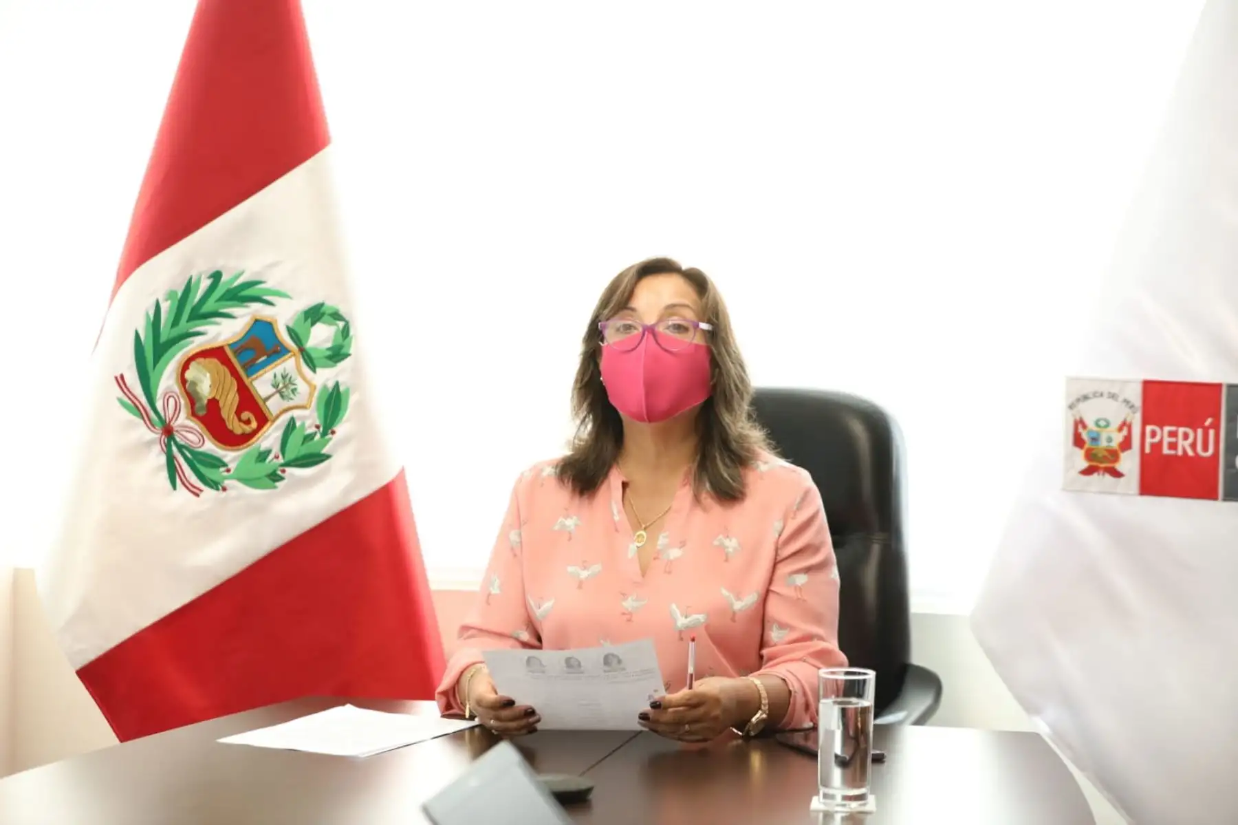 ANDINA/Difusión