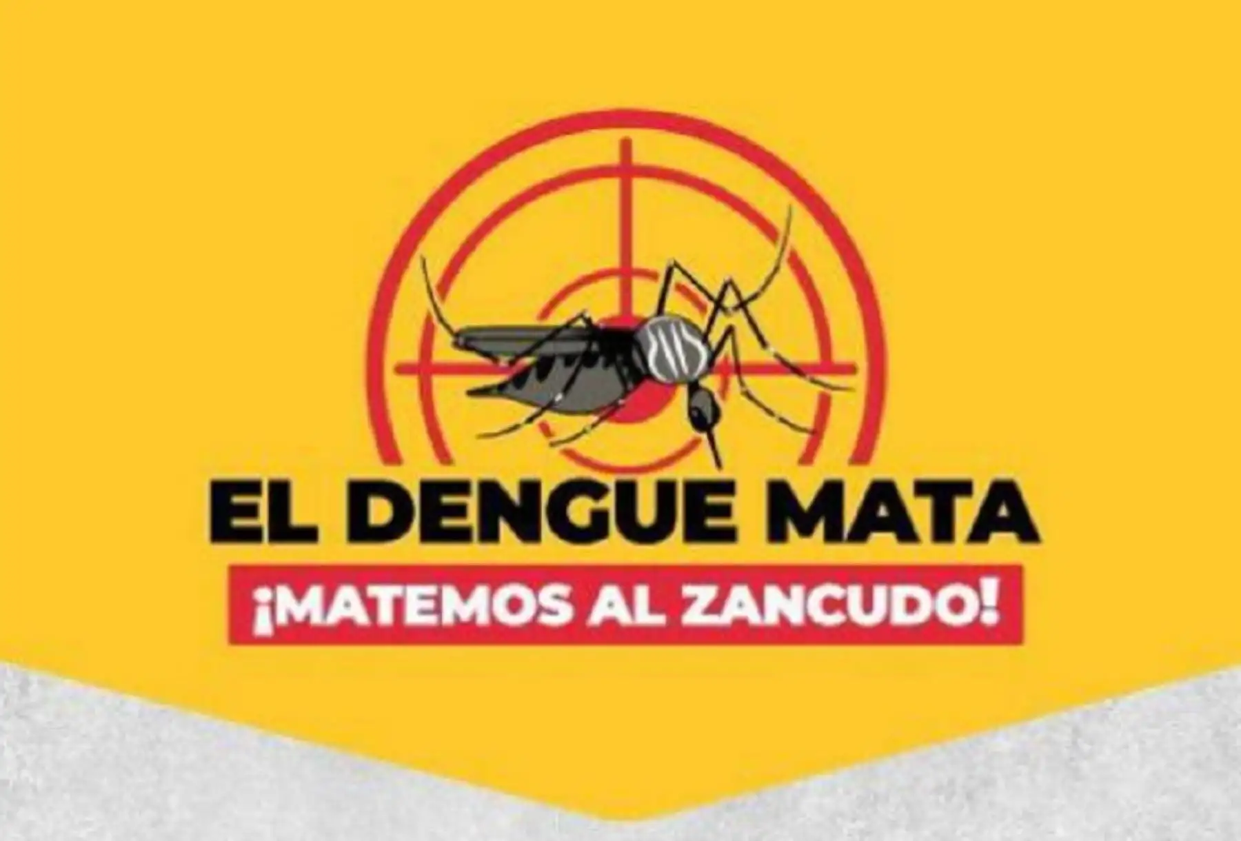 Minsa lanzó una página web con información actualizada que permitirá sensibilizar a la población a poner en práctica las medidas de prevención y promover la participación de las autoridades y aliados estratégicos para que se sumen a la lucha contra el dengue.