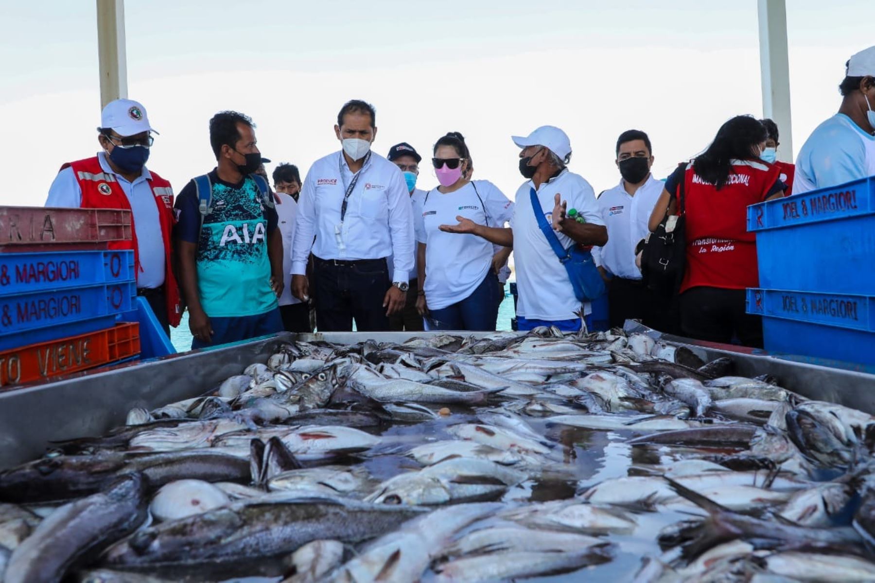 Regiones Huánuco, Puno, Piura, Áncash y Lambayeque duplicaron consumo de pescado