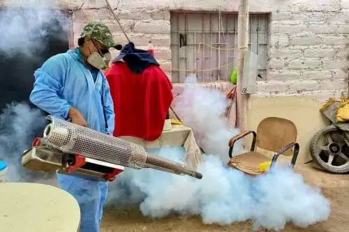 Mañana se reiniciarán las actividades de abatización y fumigación en la provincia de Casma, región Áncash. Foto: ANDINA/Difusión